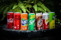 A lineup of various soda cans placed on a dark surface with green foliage in the background. The cans include Coca-Cola, Fanta, Sprite, A&W, and Schweppes among others, each displaying vibrant branding and distinct color schemes.