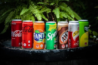 A lineup of various soda cans placed on a dark surface with green foliage in the background. The cans include Coca-Cola, Fanta, Sprite, A&W, and Schweppes among others, each displaying vibrant branding and distinct color schemes.