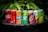 A lineup of various soda cans placed on a dark surface with green foliage in the background. The cans include Coca-Cola, Fanta, Sprite, A&W, and Schweppes among others, each displaying vibrant branding and distinct color schemes.