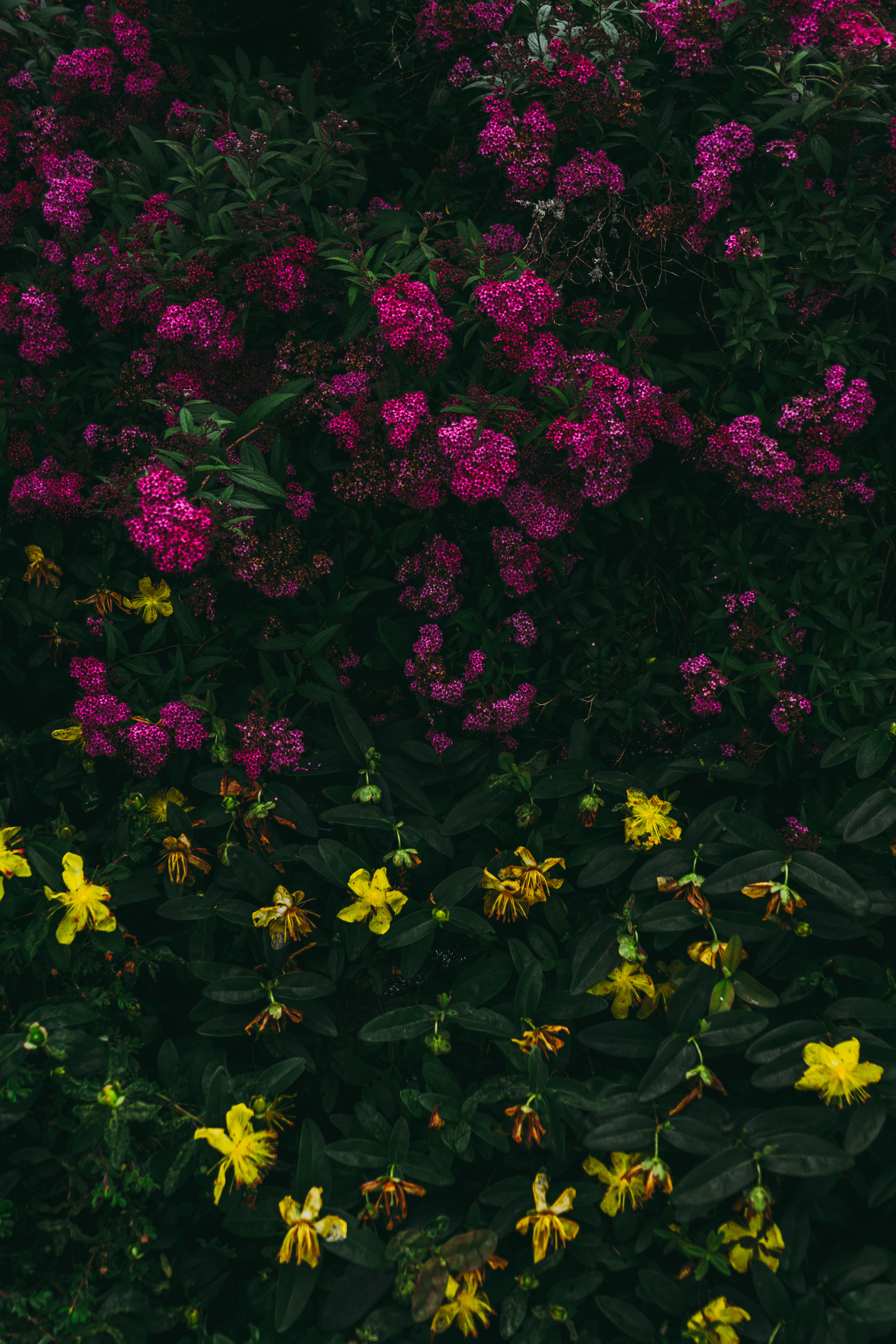 Photo by virussinside