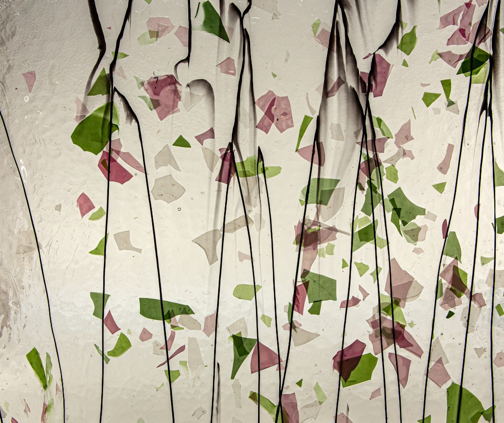 a group of green, pink, and white leaves on a white wall