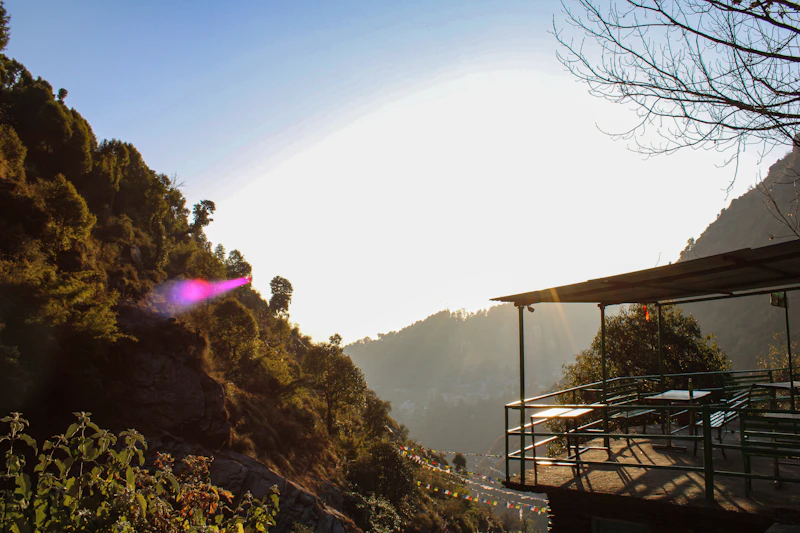 Best Casual Dinner Spots in Dharamshala for a No-Fuss Evening Out