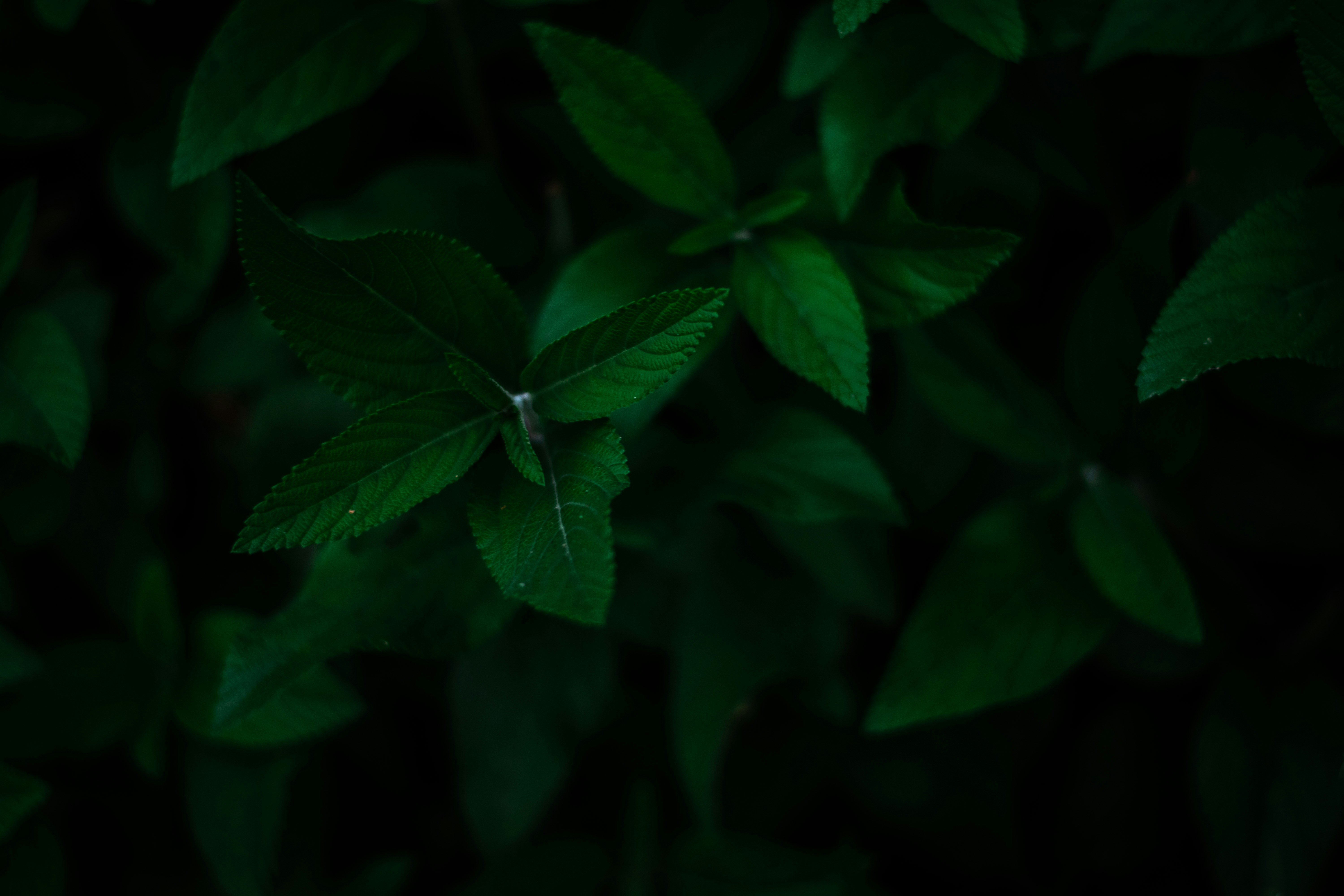 Photo by arpit_dhore