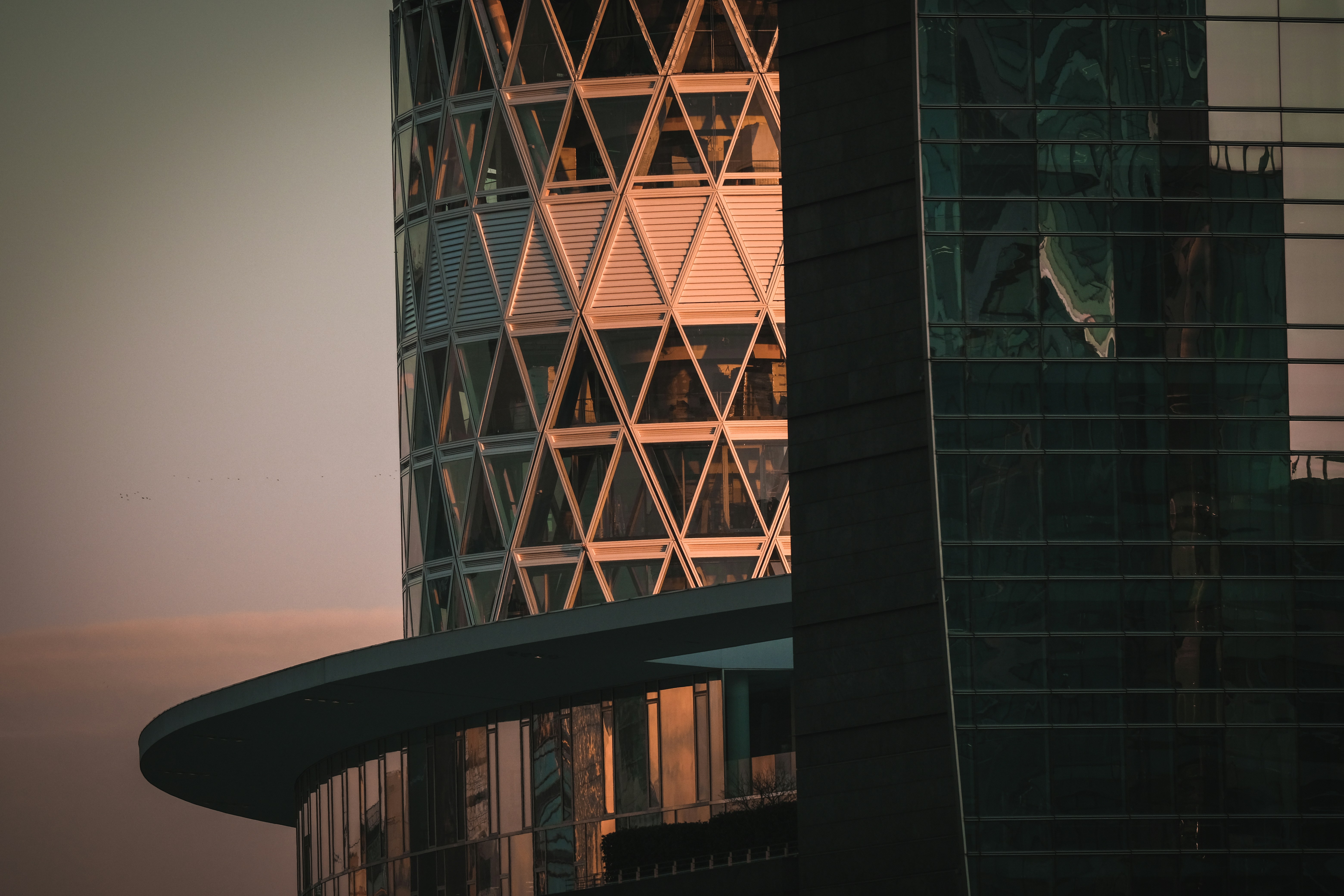 Photo by francesco_ungaro