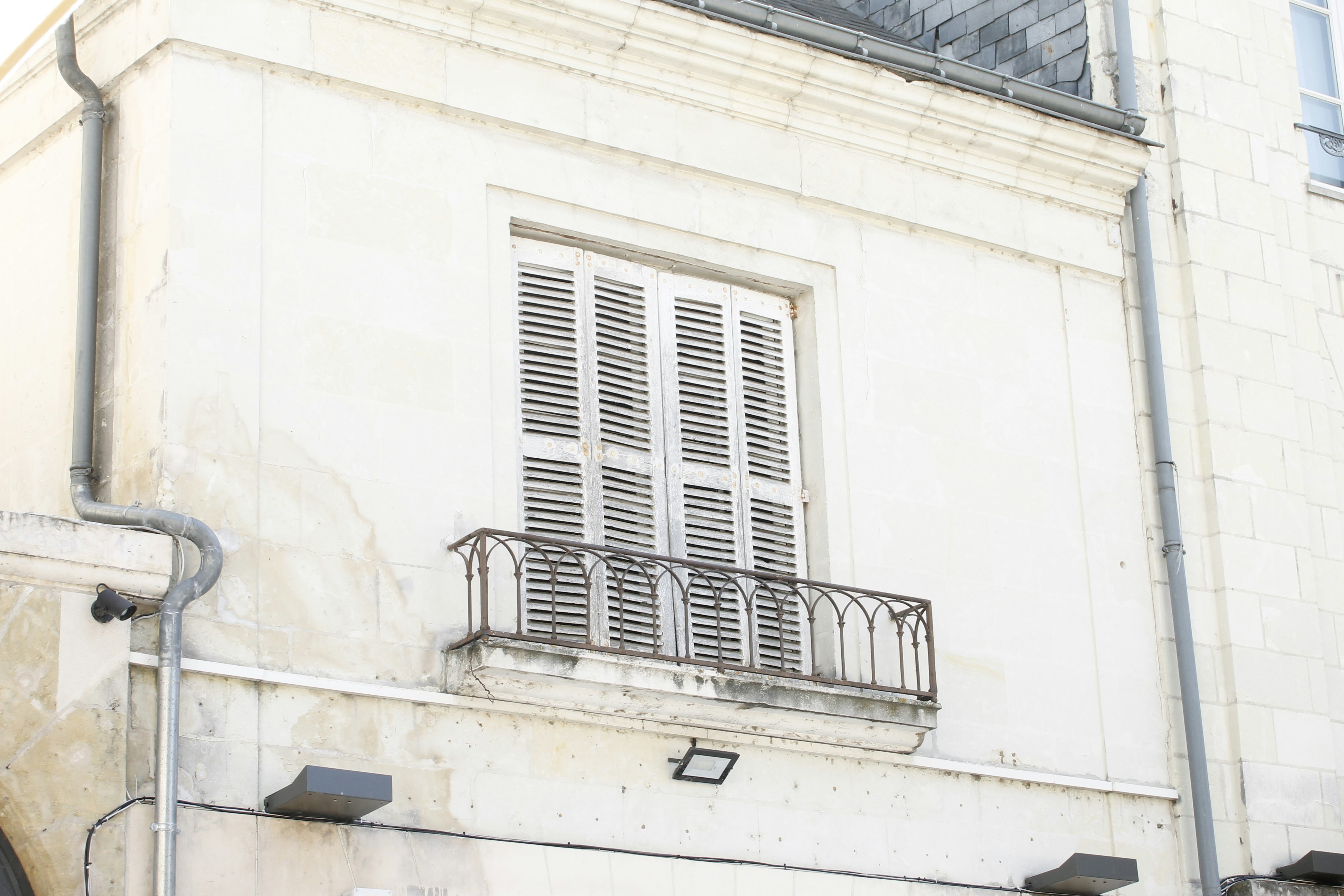 Photo by fleurstolkfotografie2021