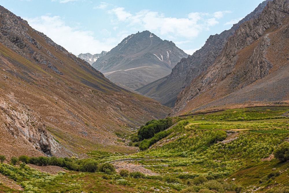 a view of a valley with mountains in the background