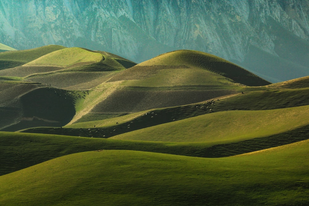 a group of hills that are covered in grass