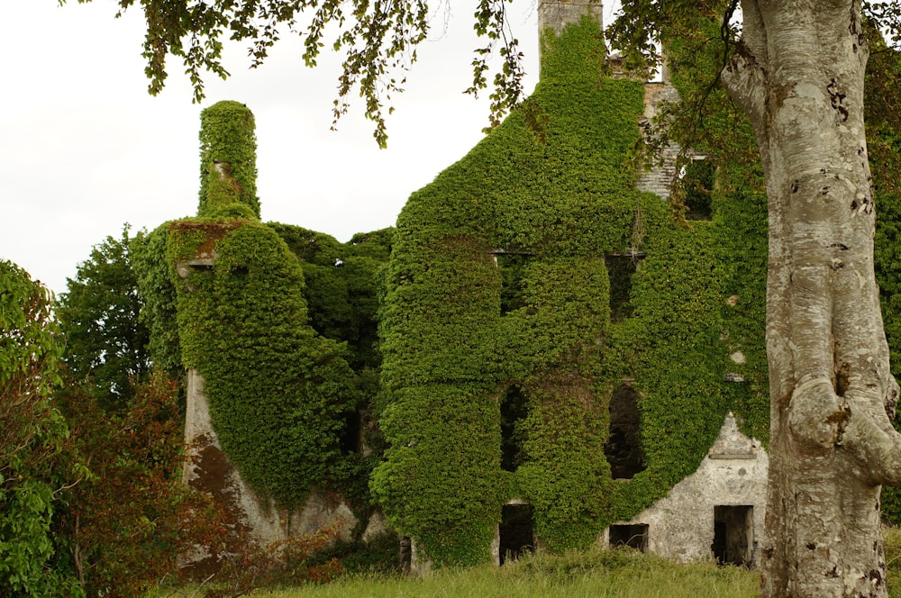 an old building covered in vines and trees