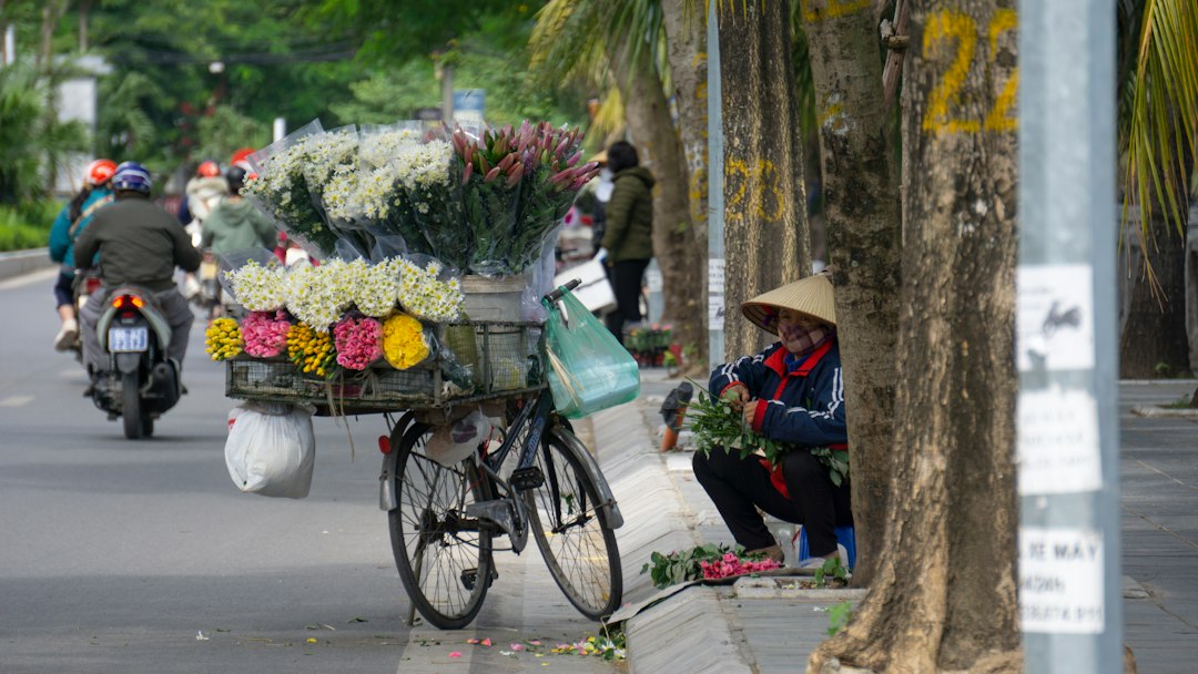 Chiến dịch 14 ngày phủ Pinterest từ 1 link Shopify