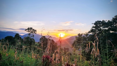 A peaceful nature landscape with a sunrise over mountains.
