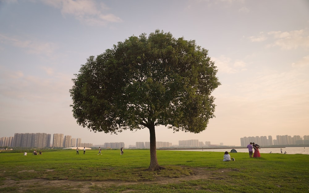 a group of people sitting under a tree in a field