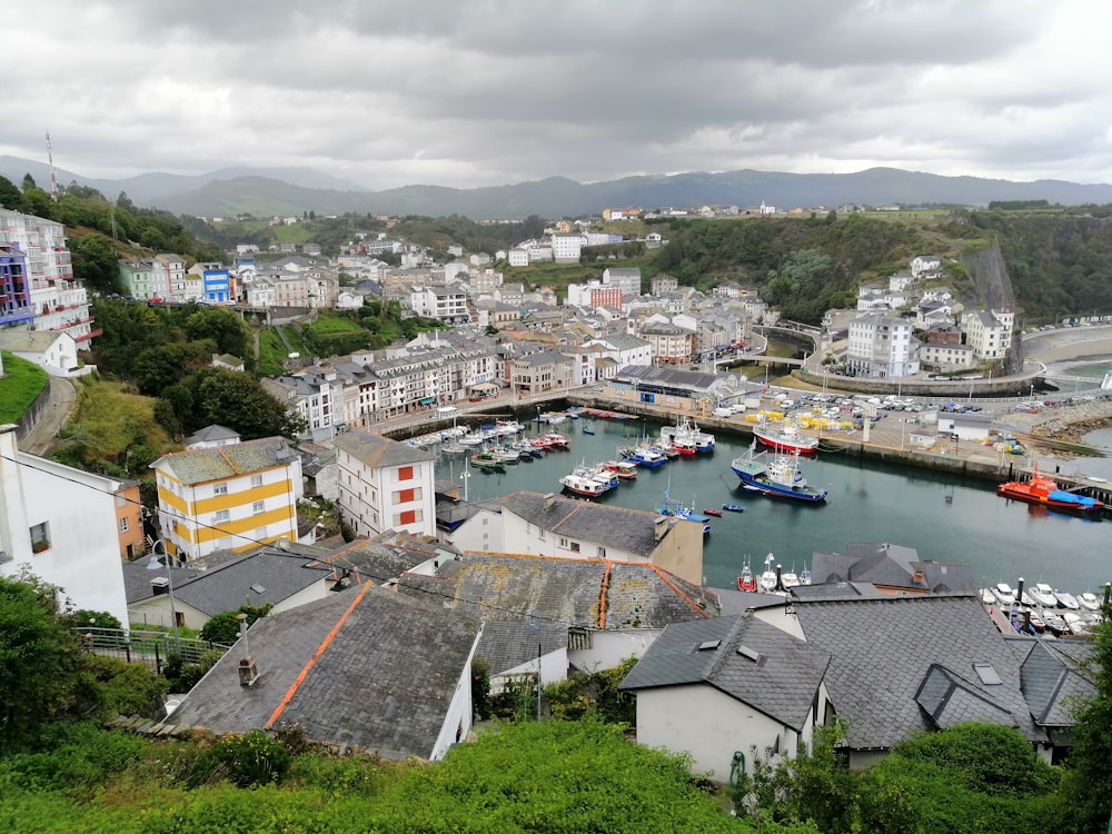 a harbor filled with lots of boats on top of a lush green hillside