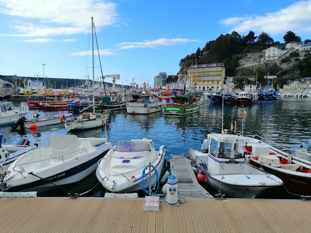 Un port rempli de nombreux petits bateaux