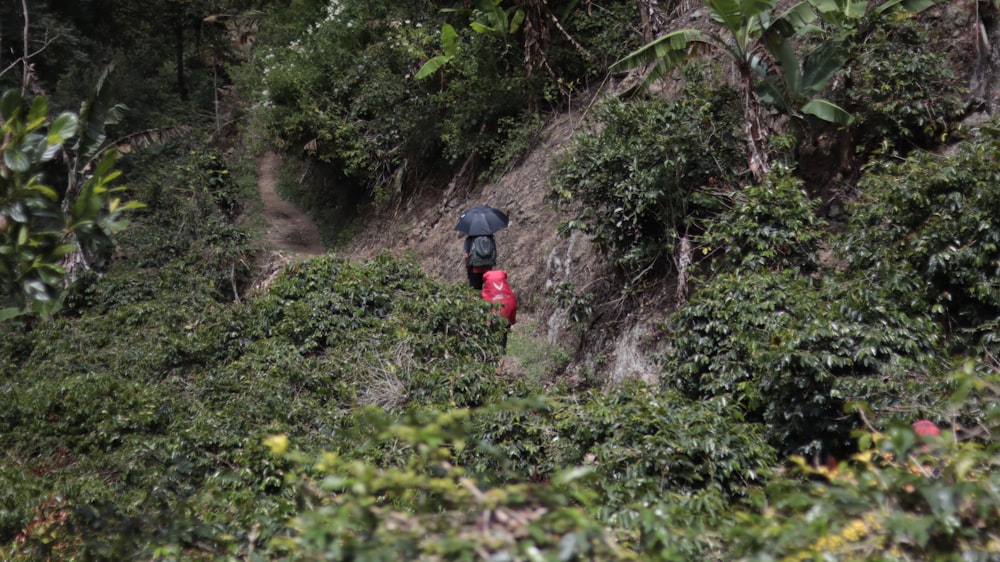 a person with a backpack walking up a hill