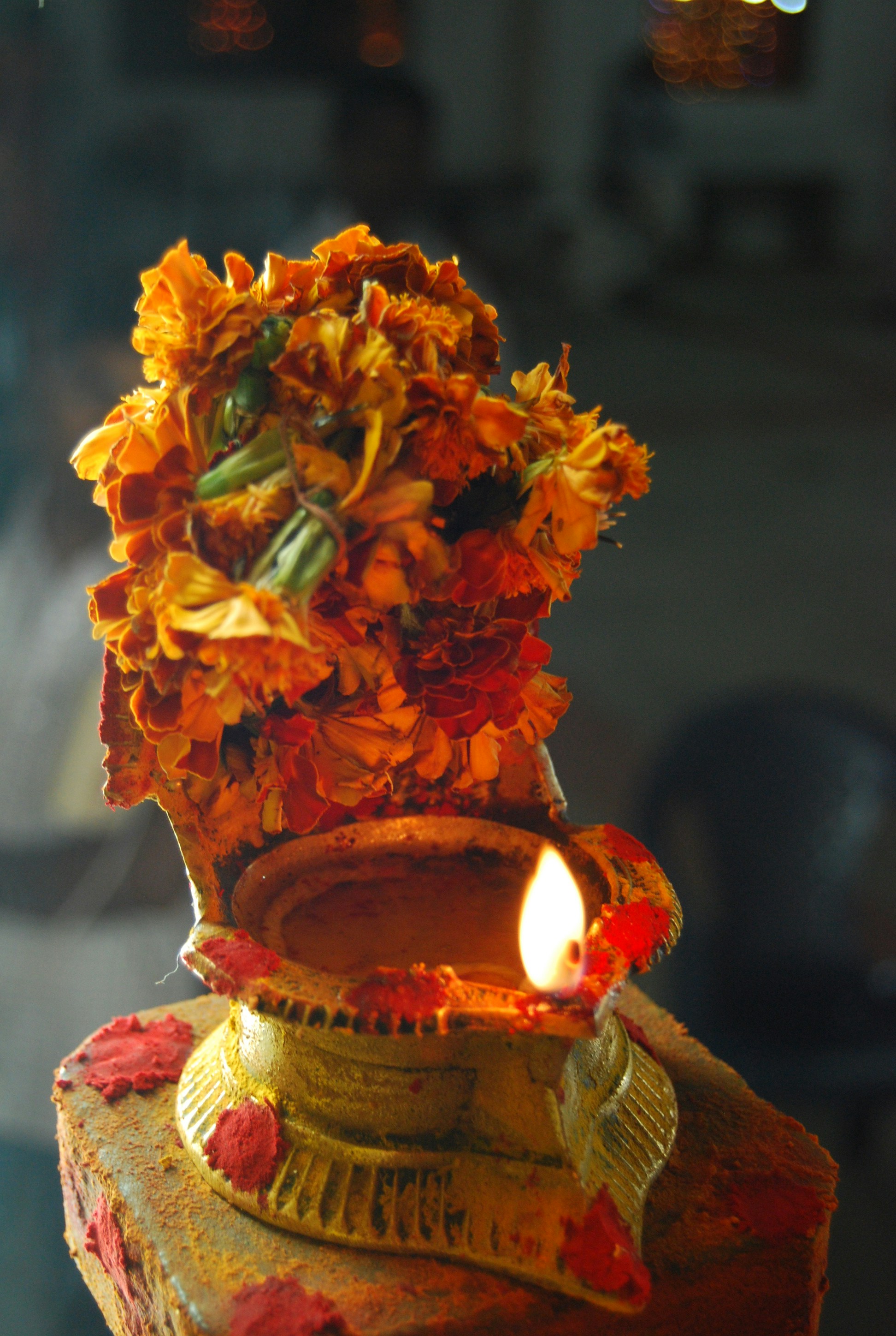 Photo by anbujcphotography