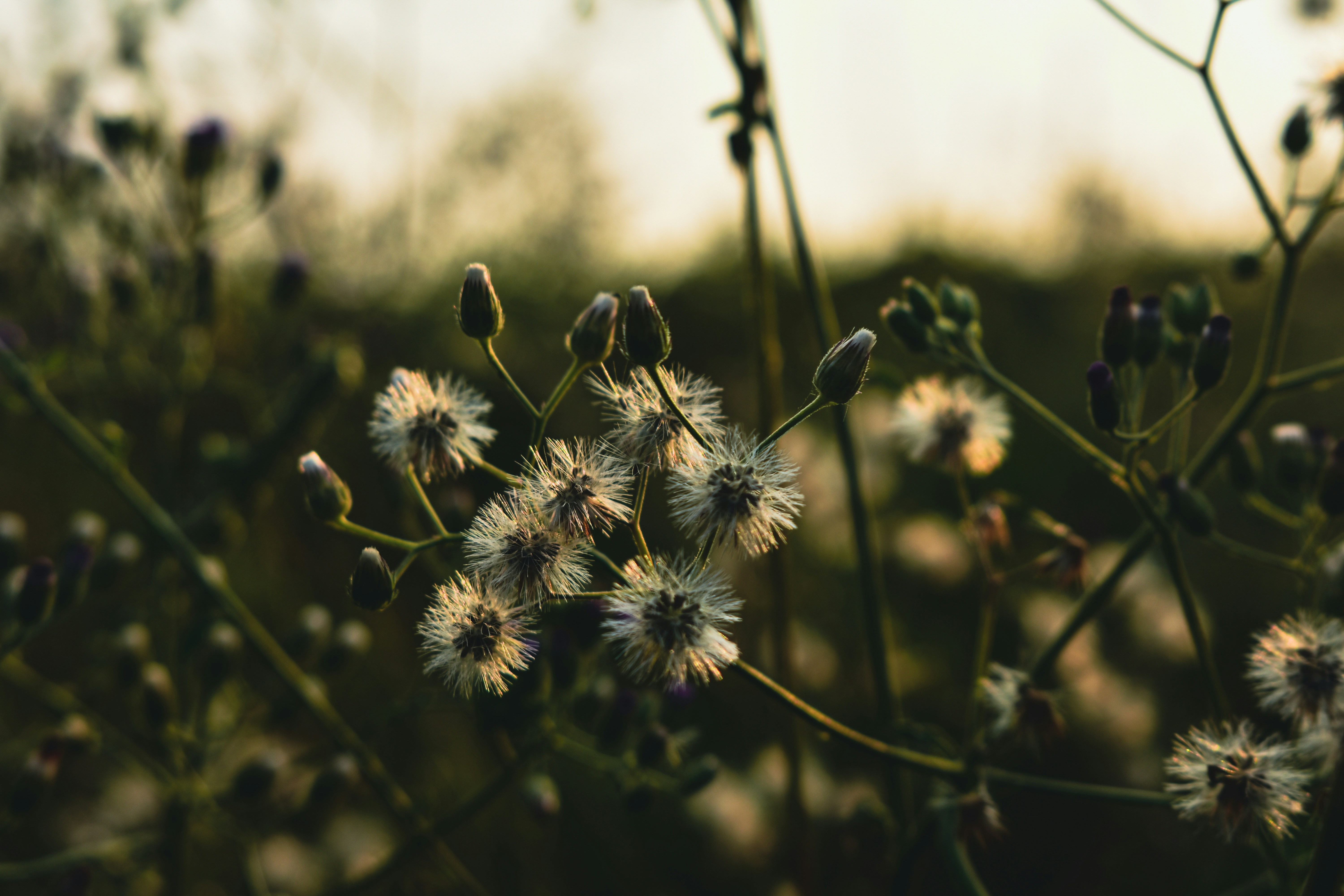 Photo by atomsmasher