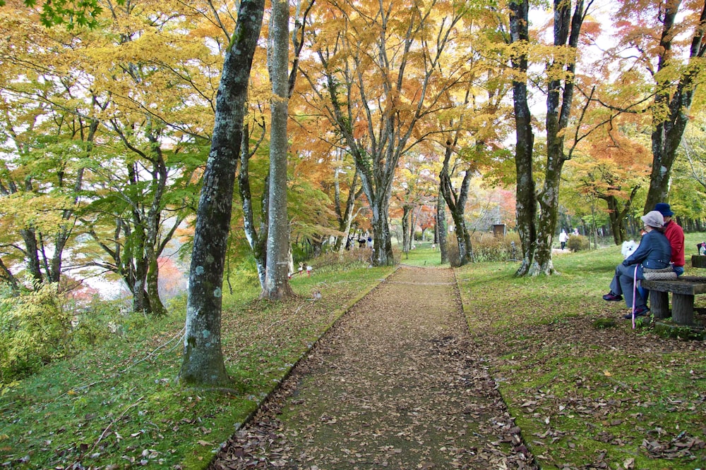 two people sitting on a bench in a park