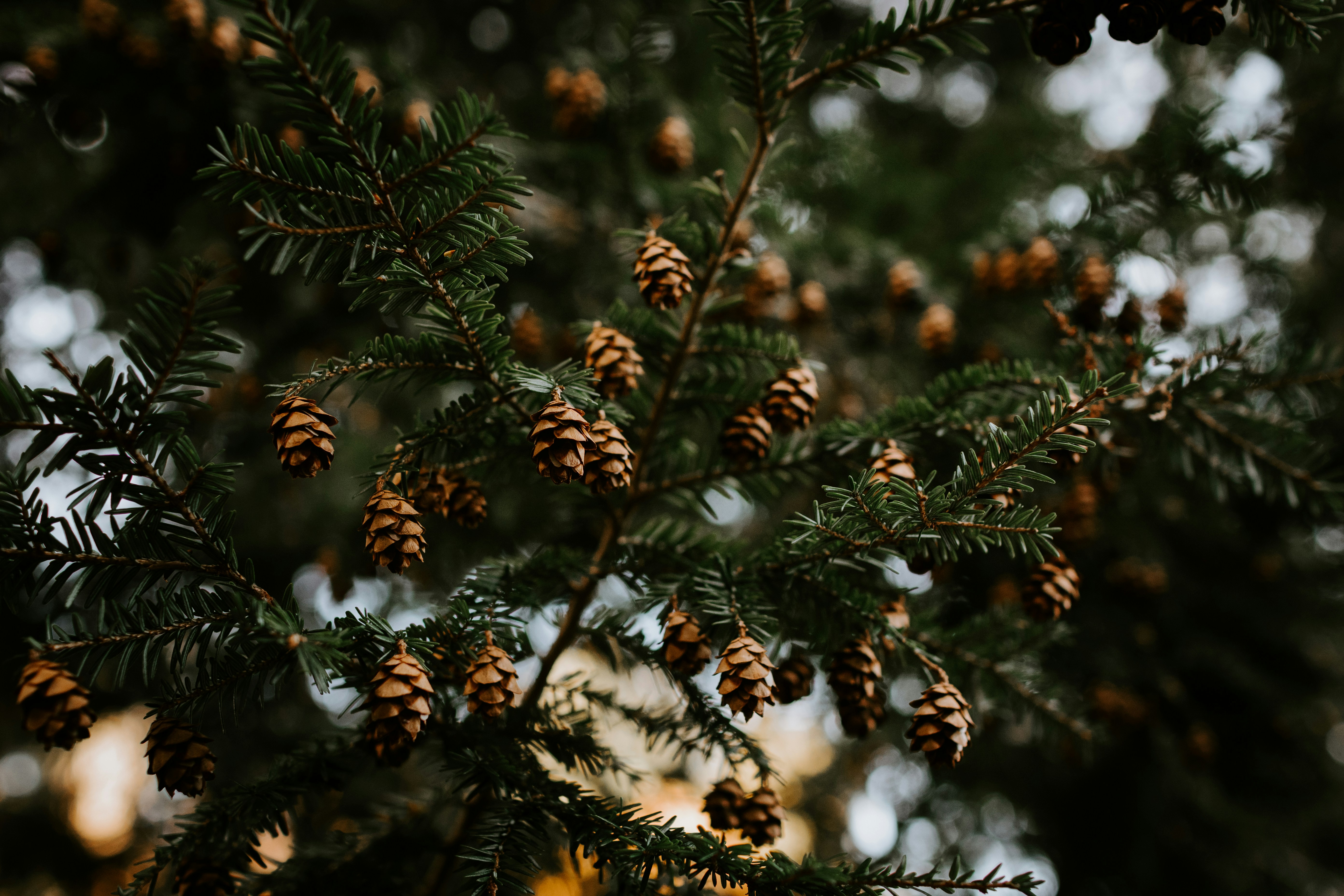 Photo by kellysikkema