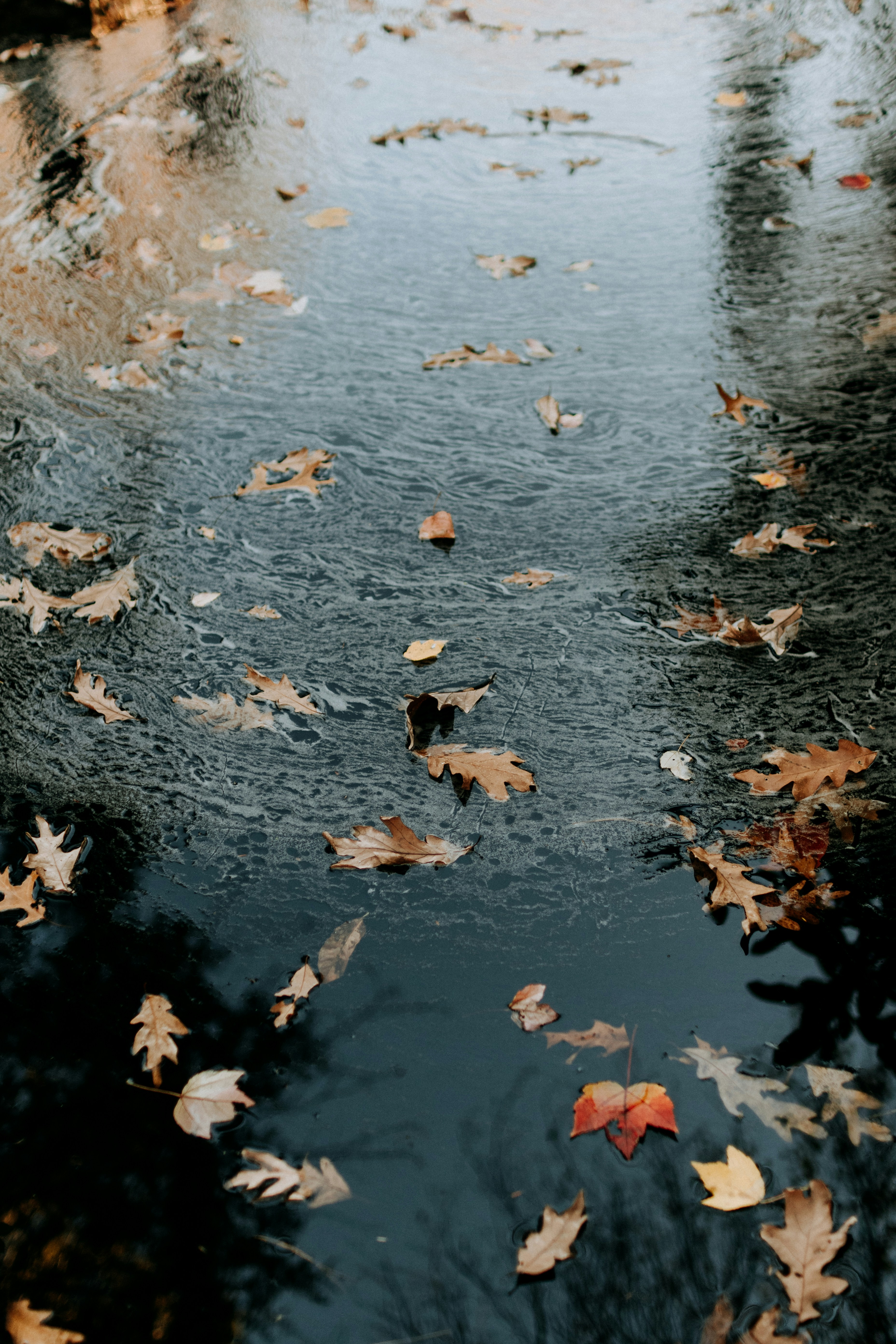 Photo by kellysikkema