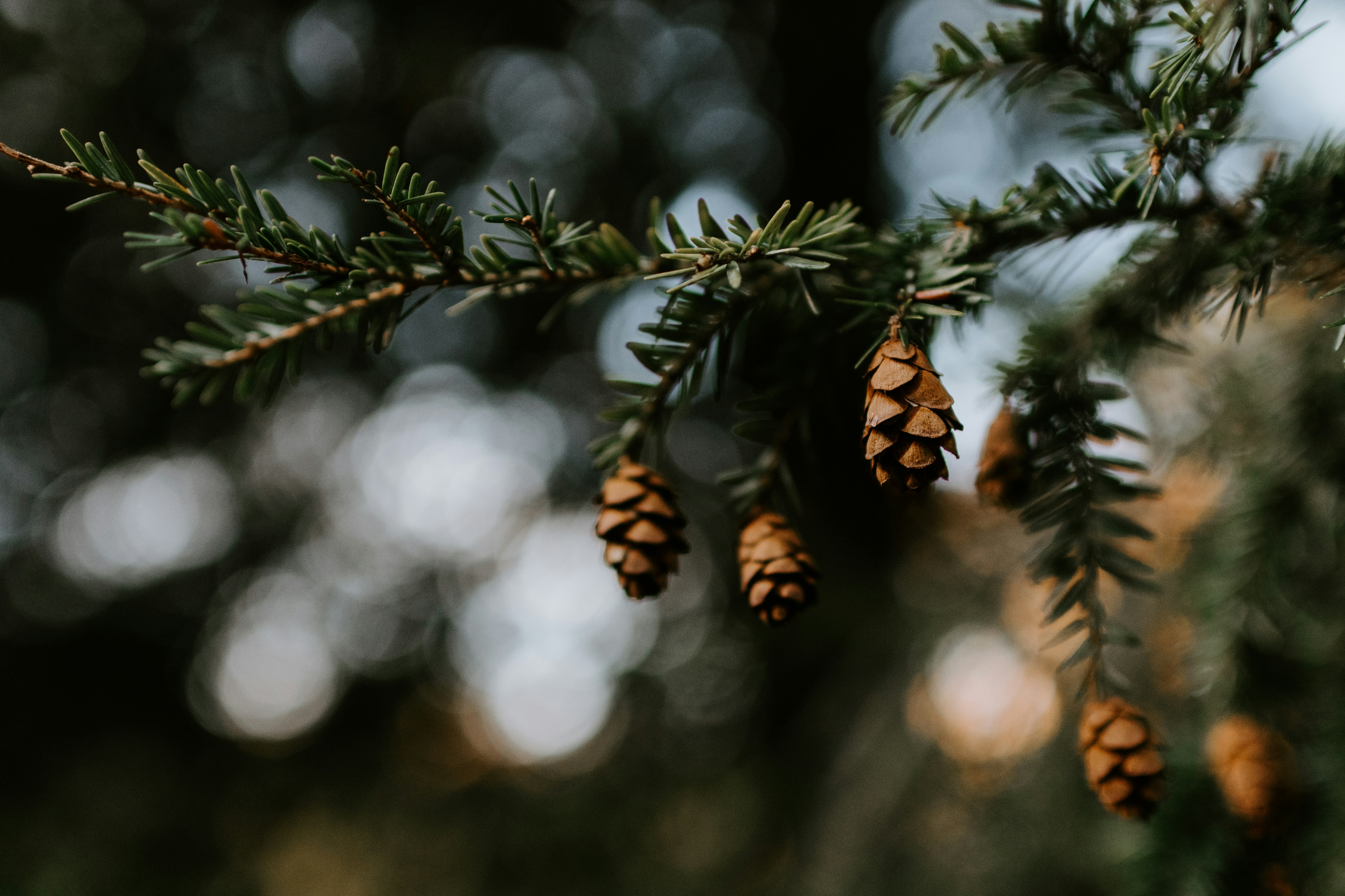 Photo by kellysikkema