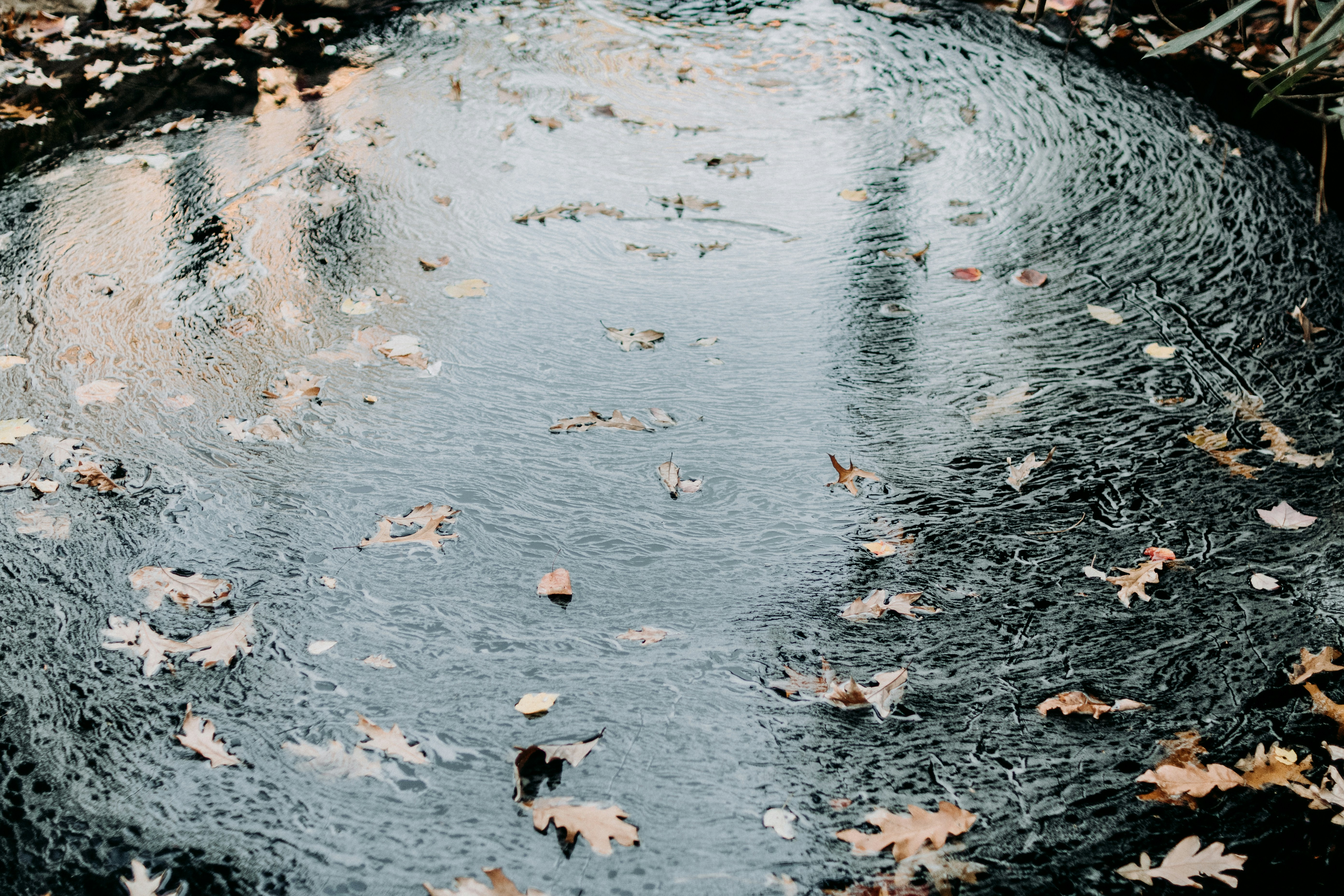 Photo by kellysikkema