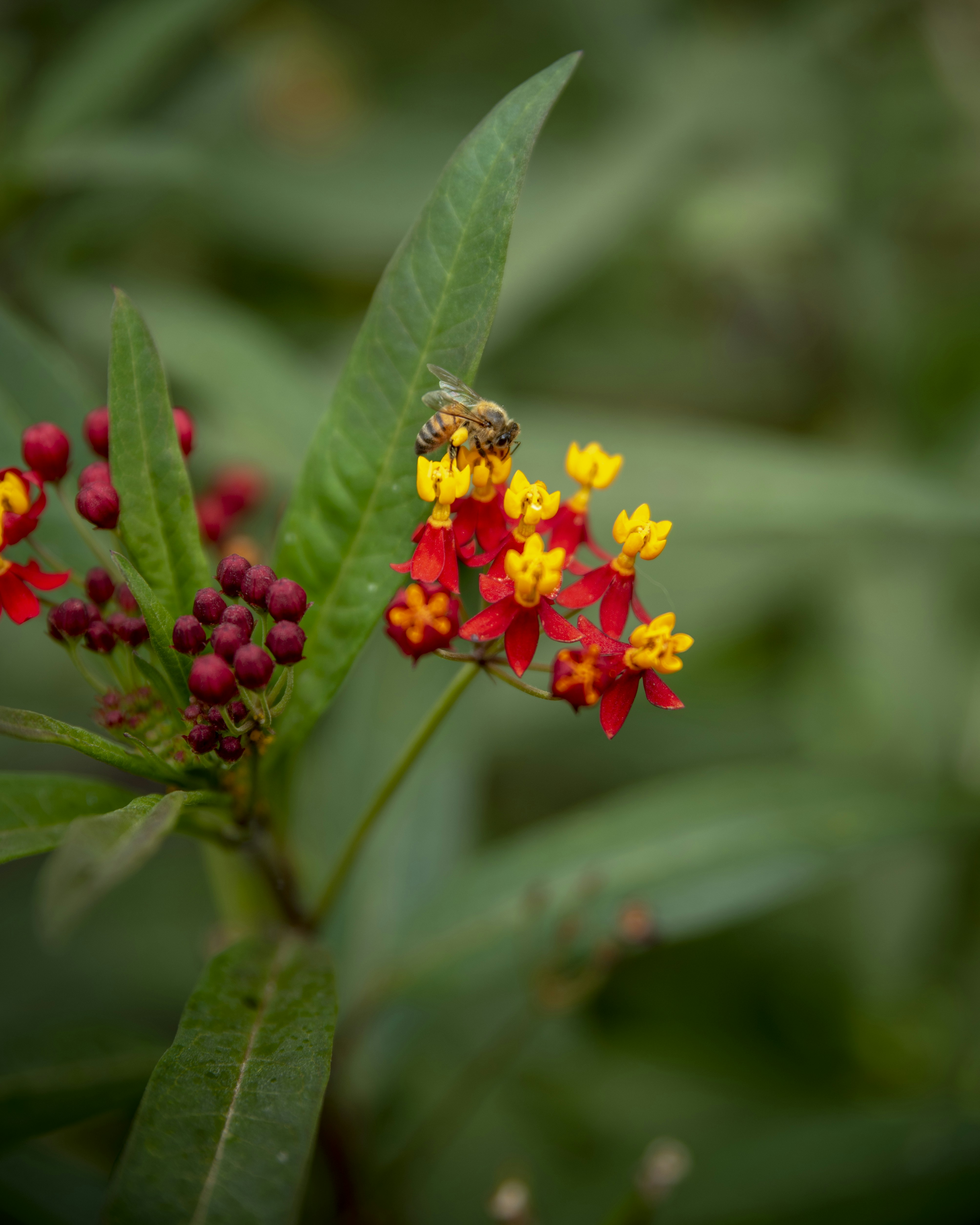 Photo by tracminhvu