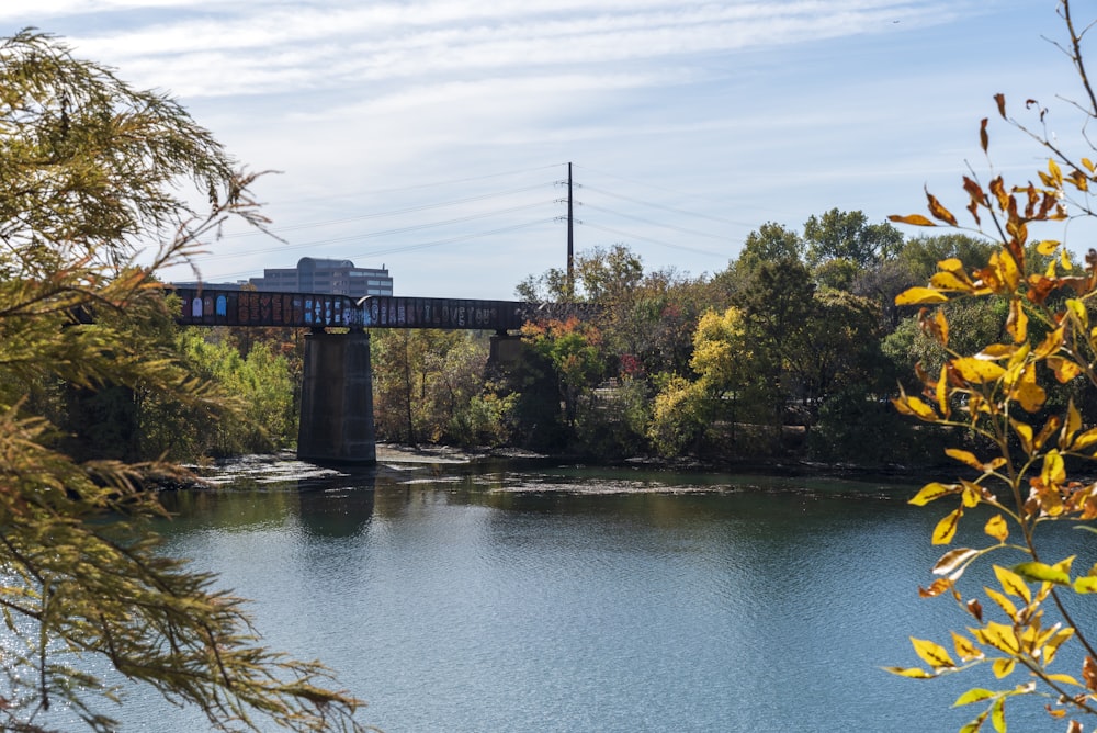 a bridge over a body of water surrounded by trees