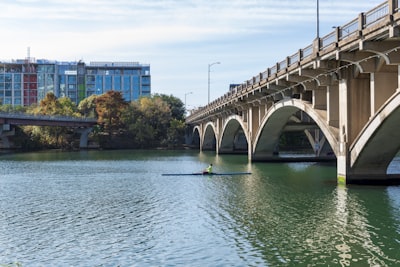 Congress Avenue Bridge Bats