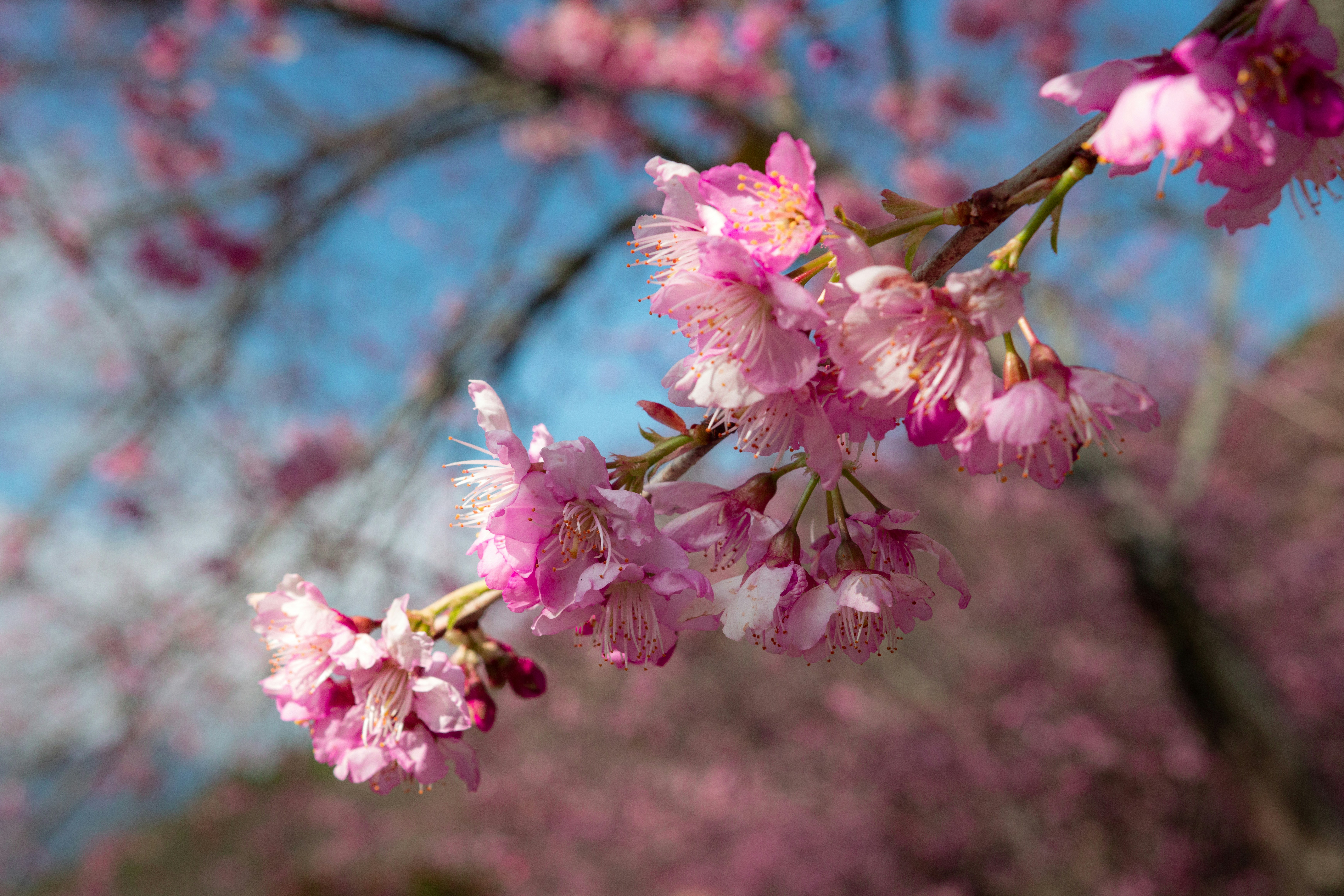 Photo by jeffreychai