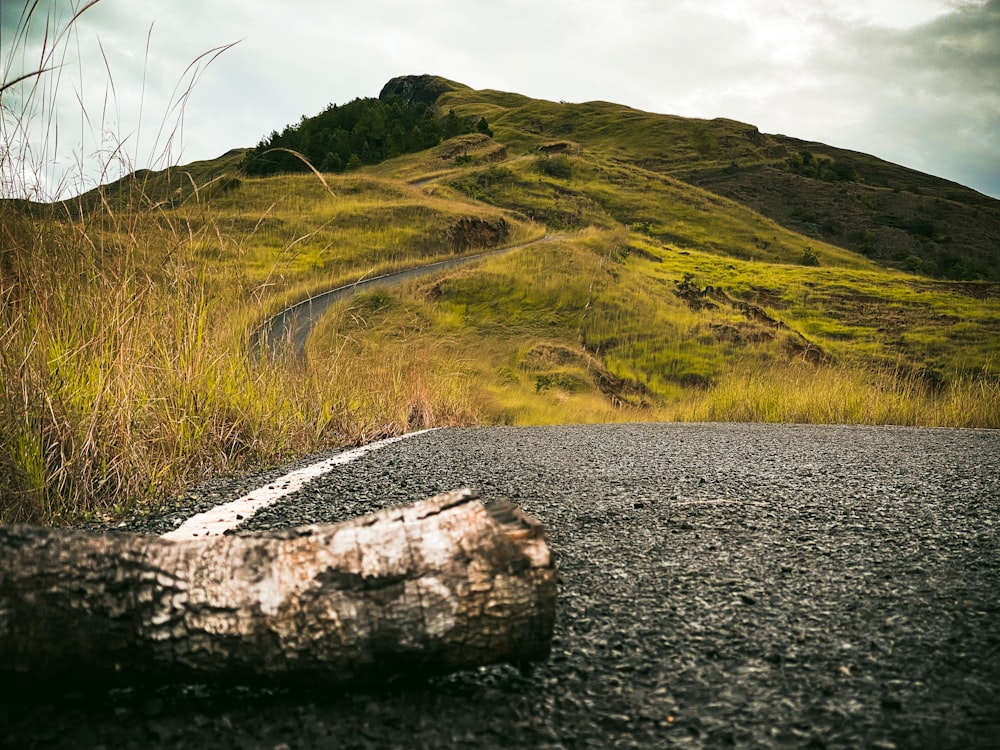 Un albero caduto che giace sul ciglio di una strada