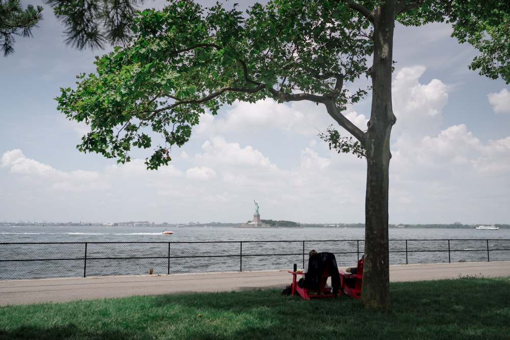 a person sitting under a tree next to a body of water