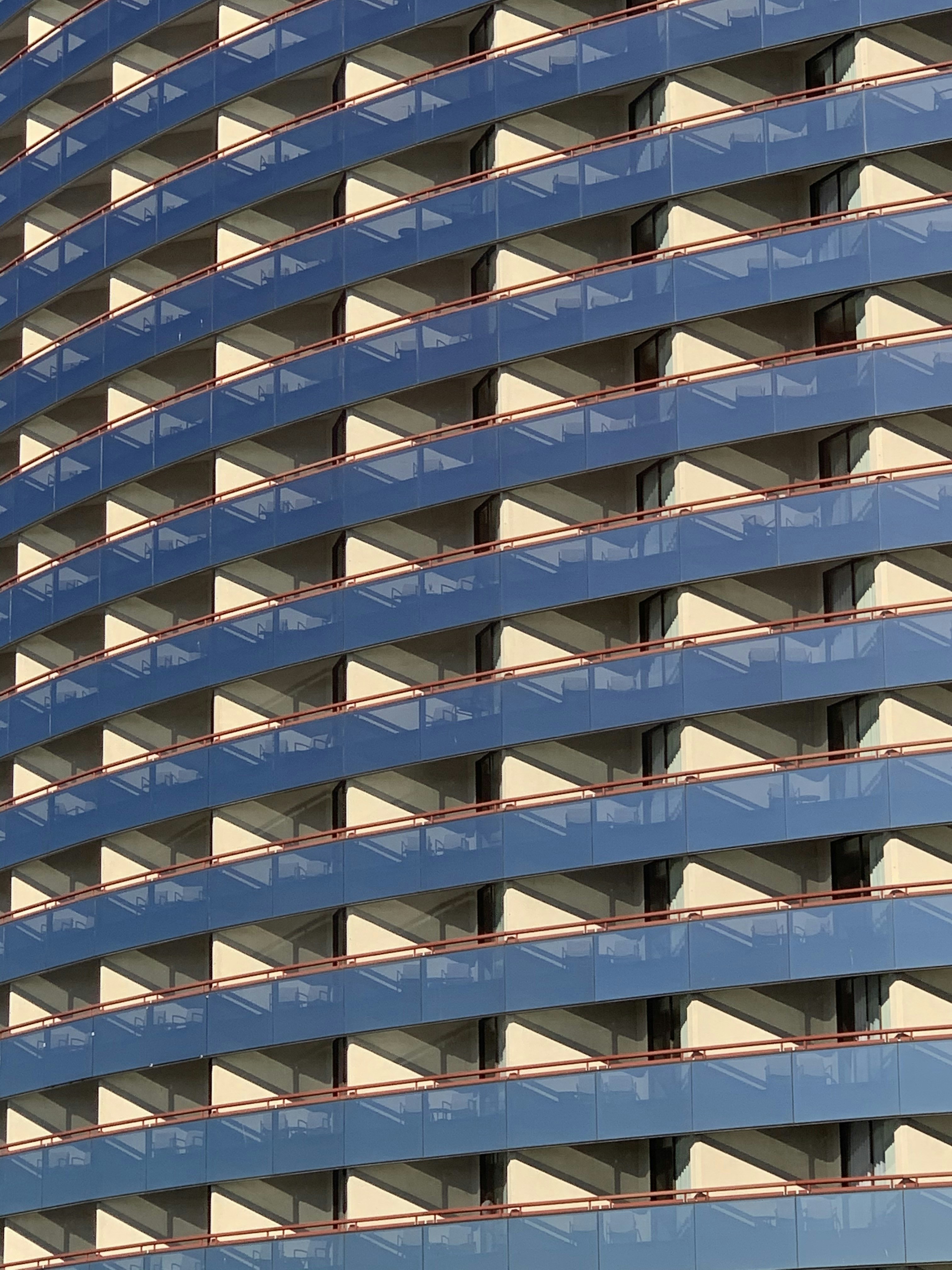 Photo by sandralongcrier