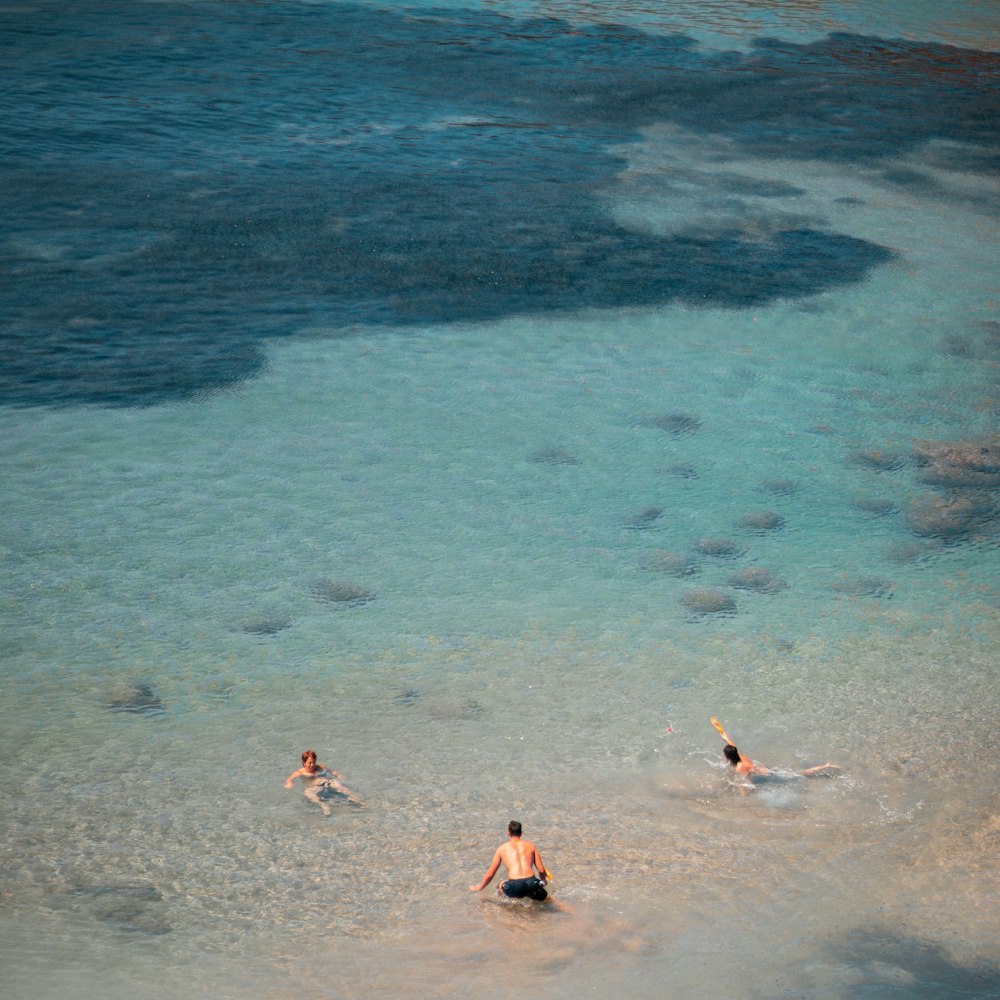 Un grupo de personas nadando en un cuerpo de agua