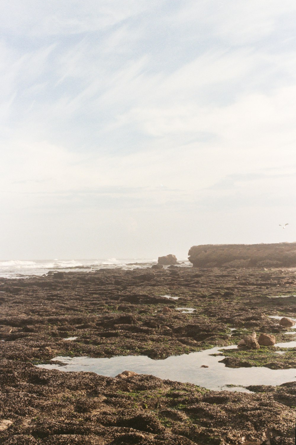 a person standing on a rocky beach next to the ocean