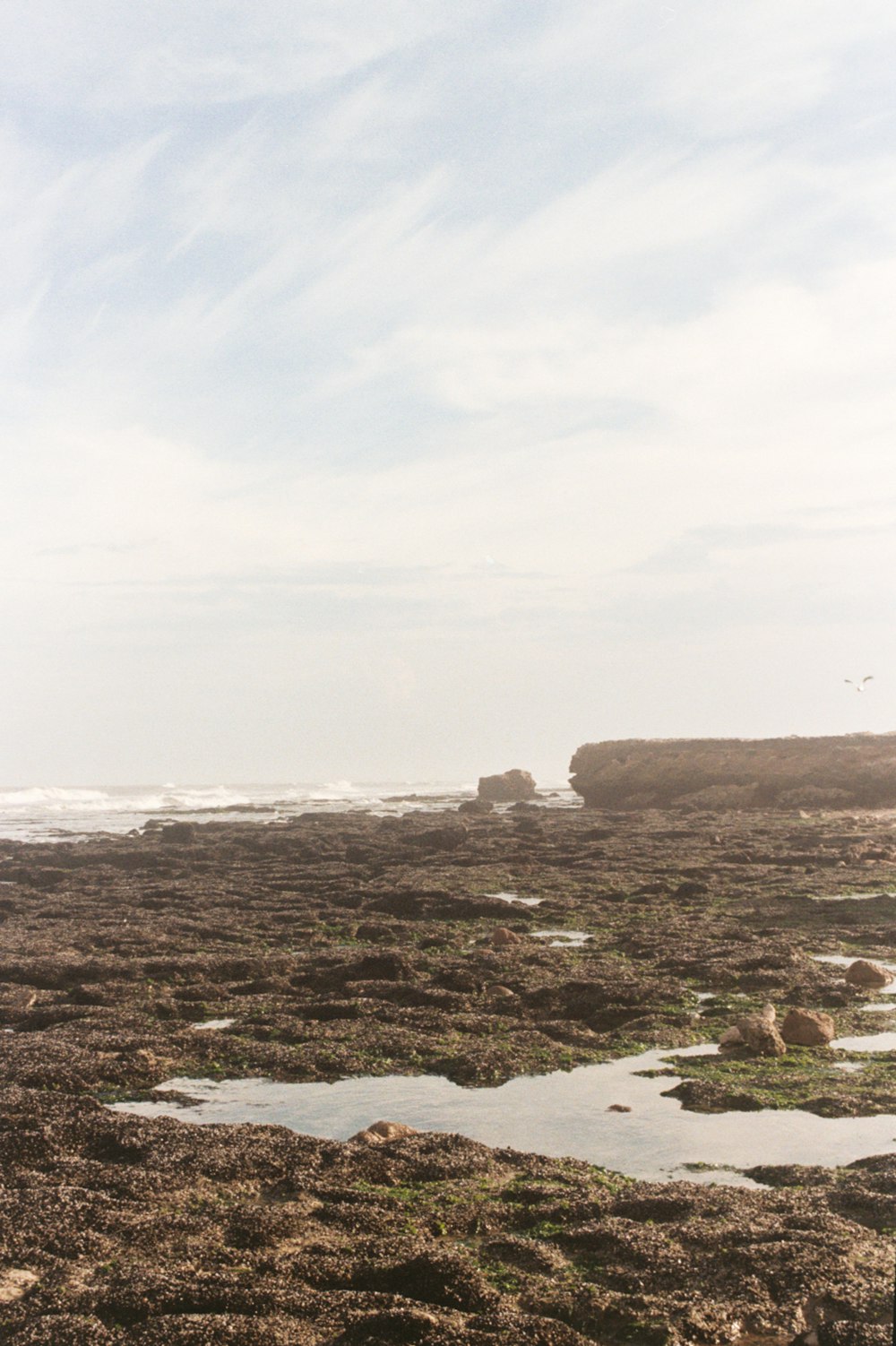 uma pessoa em pé em uma praia rochosa ao lado do oceano