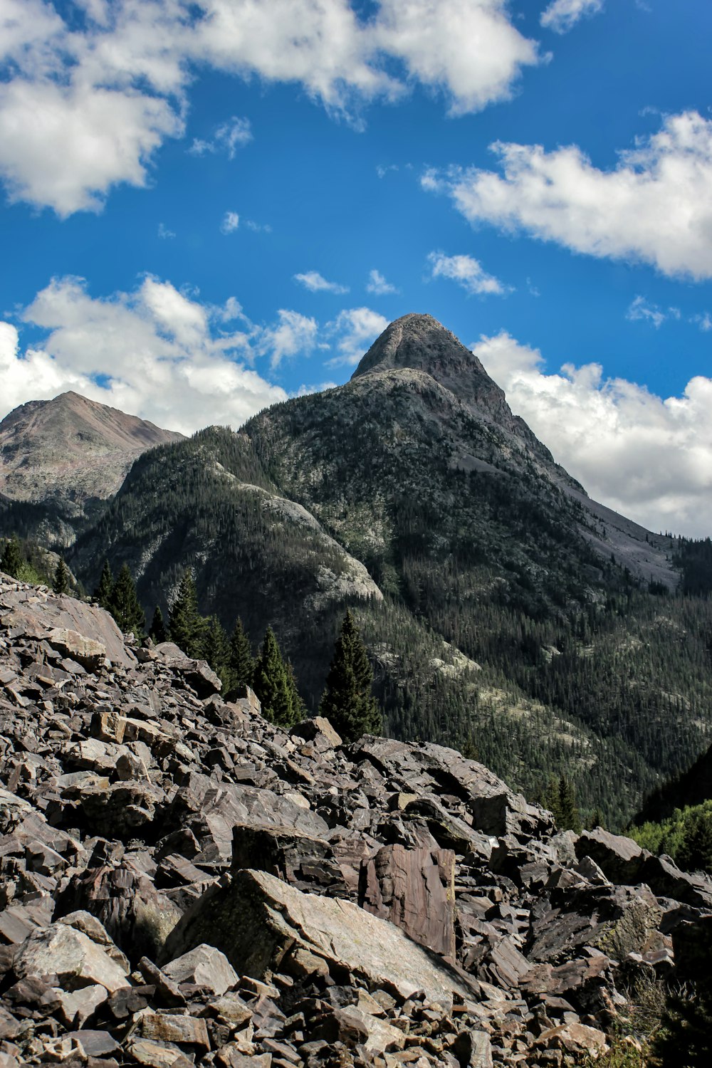 una vista di una catena montuosa con rocce e alberi