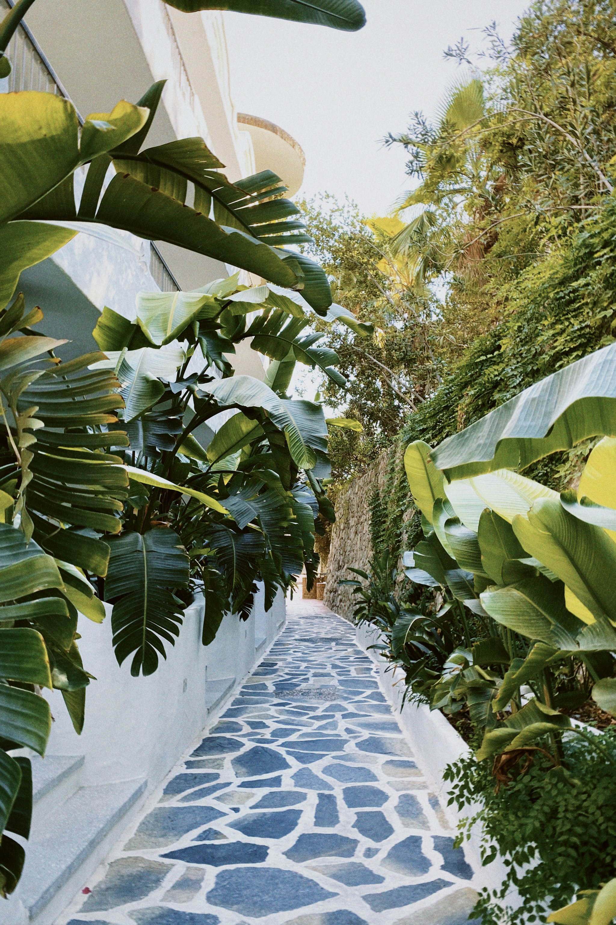 Photo by ksusha_kazak