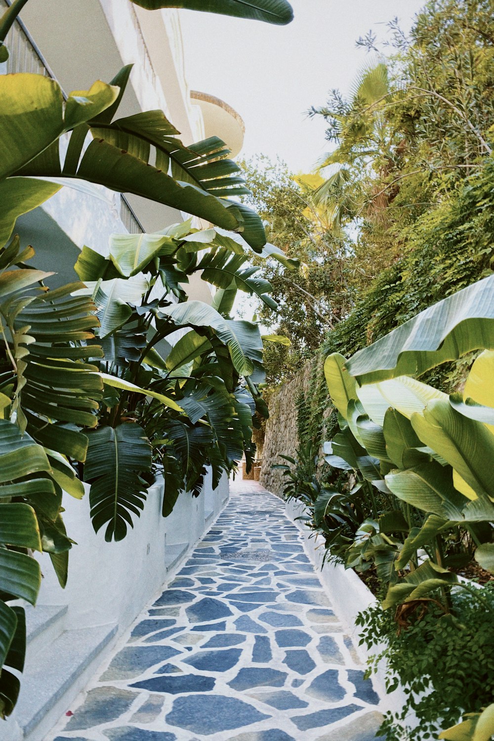 a blue and white stone path between two buildings