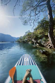 Close-up of a paddleboard gliding smoothly over clear water with reflections of surrounding trees
