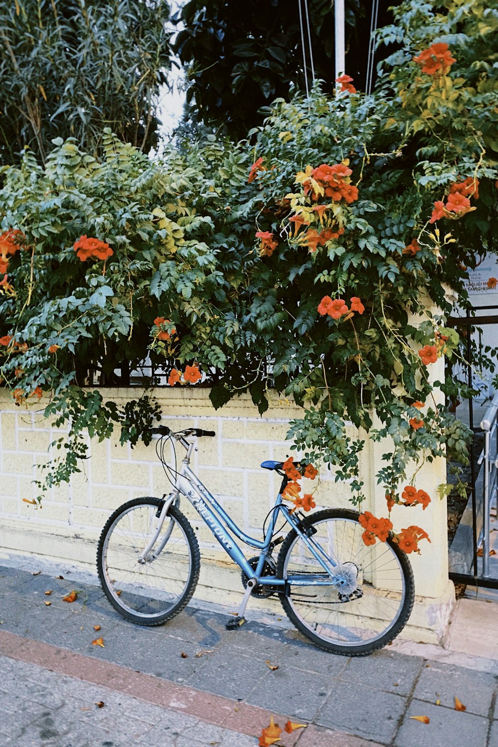 a bicycle parked next to a wall with flowers growing on it