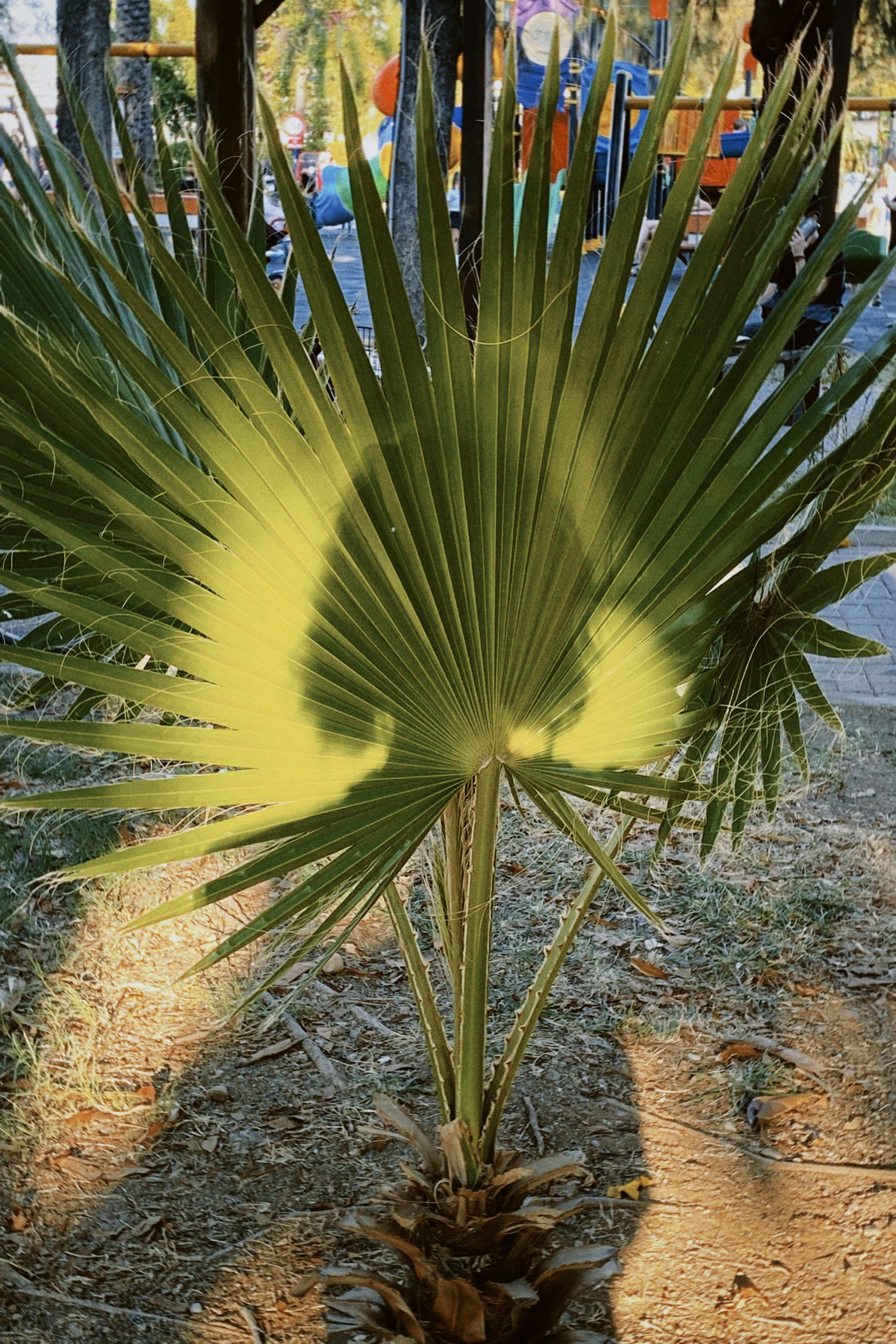 Photo by ksusha_kazak