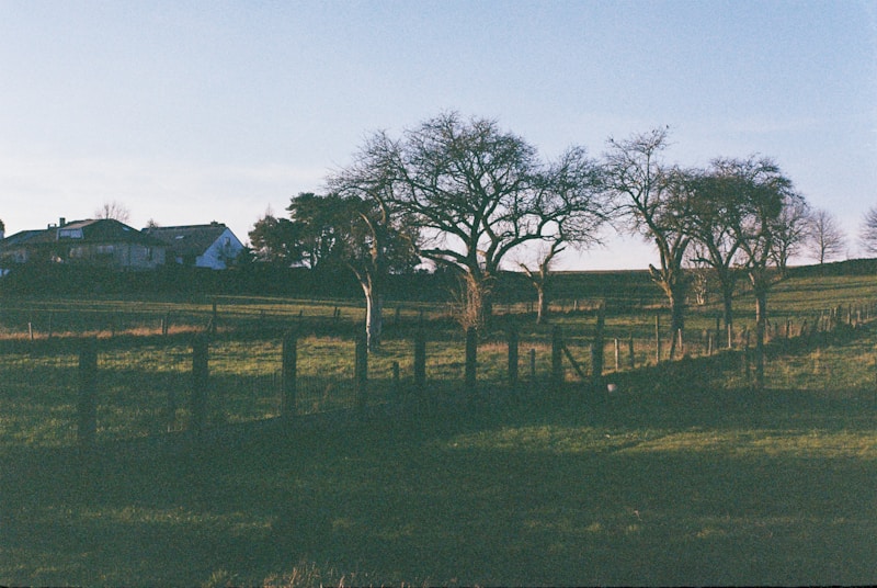 SpeedQuizzing at Shorty's Place