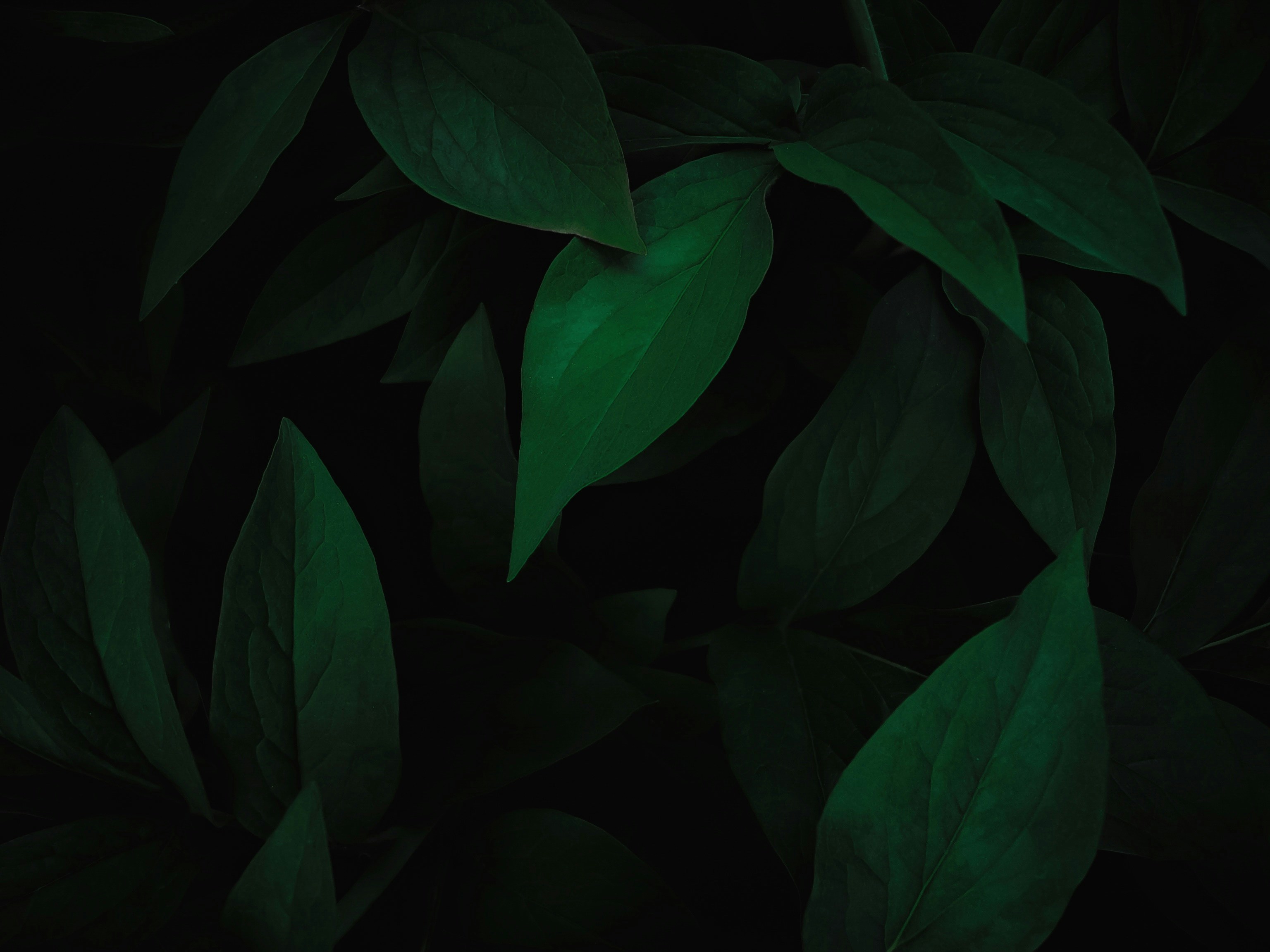 Photo by eugene_golovesov