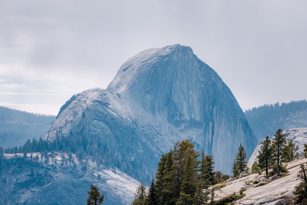 a large rock in the middle of a forest