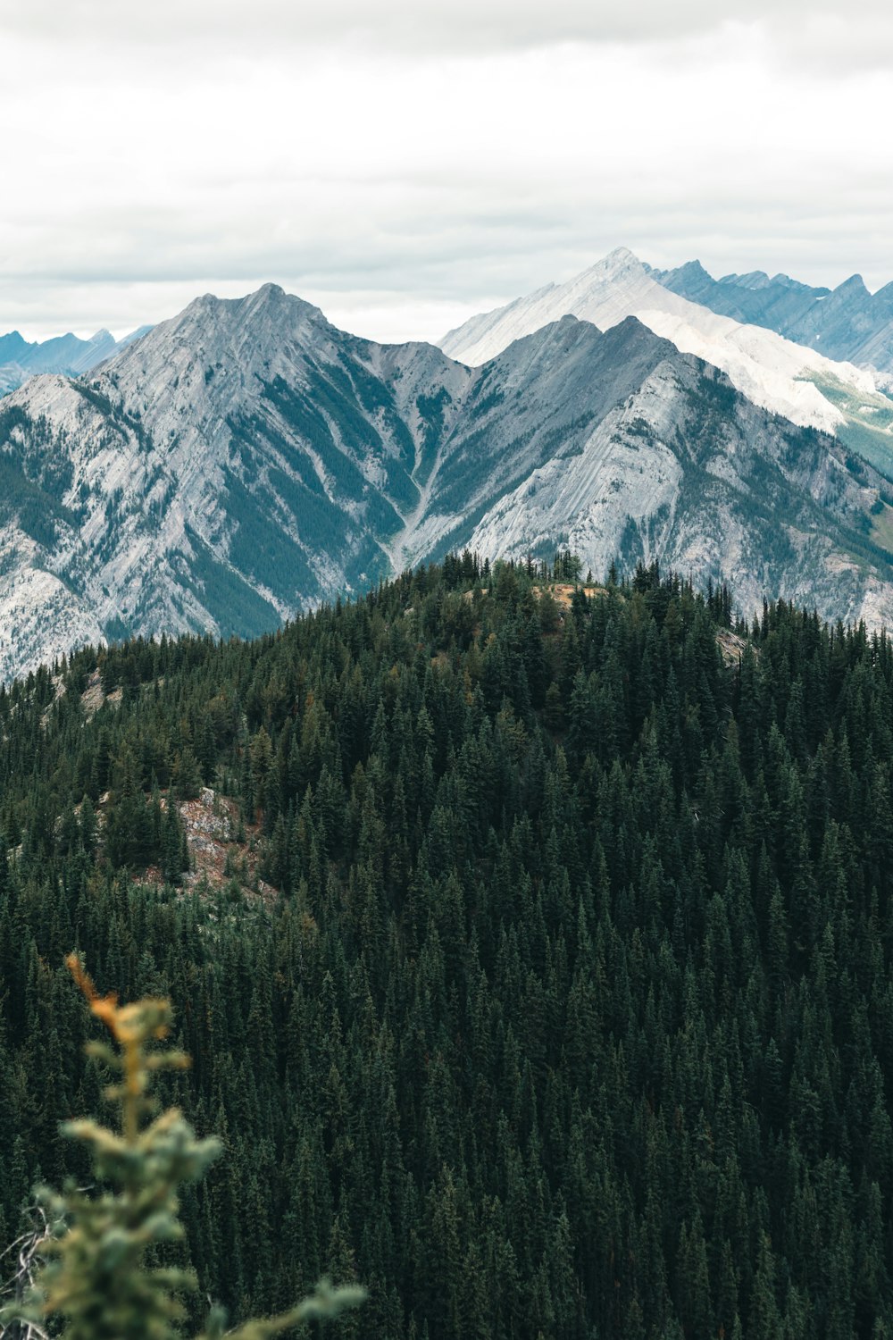 Una vista de una cadena montañosa con árboles y montañas al fondo