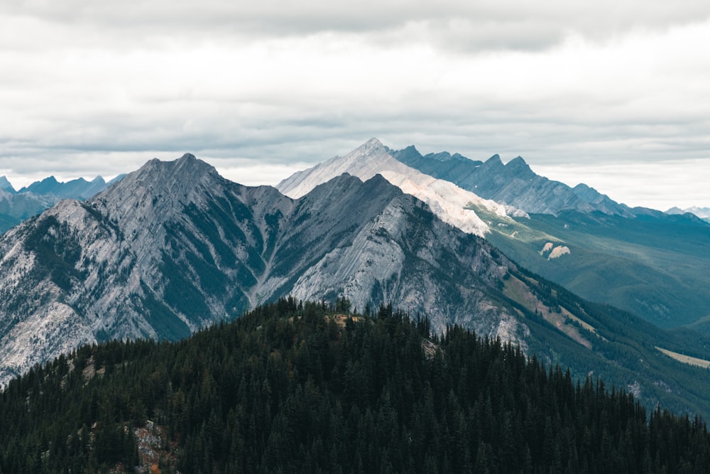 Blick auf eine Bergkette mit Bäumen und Bergen im Hintergrund