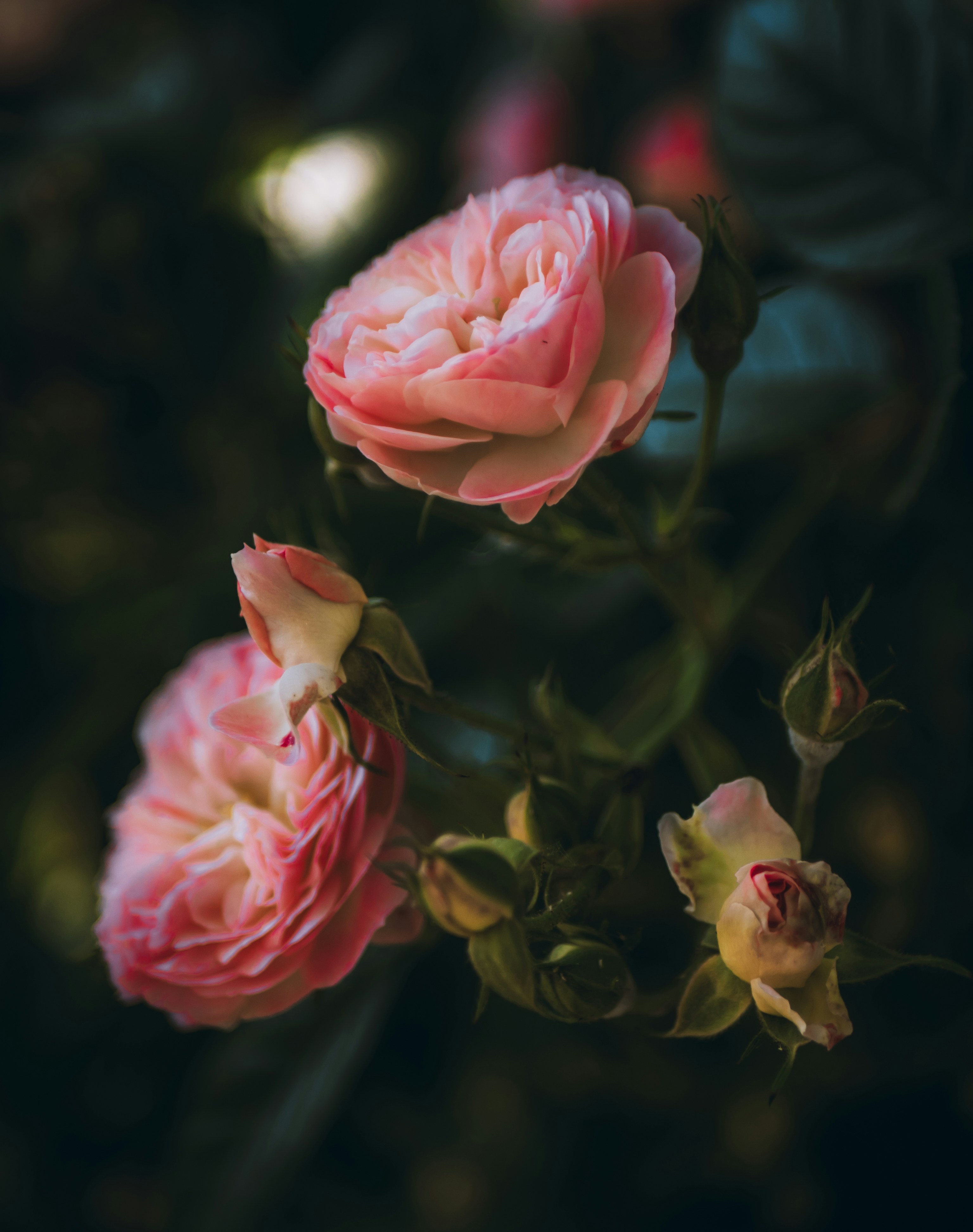 Photo by belhaiza_amine5