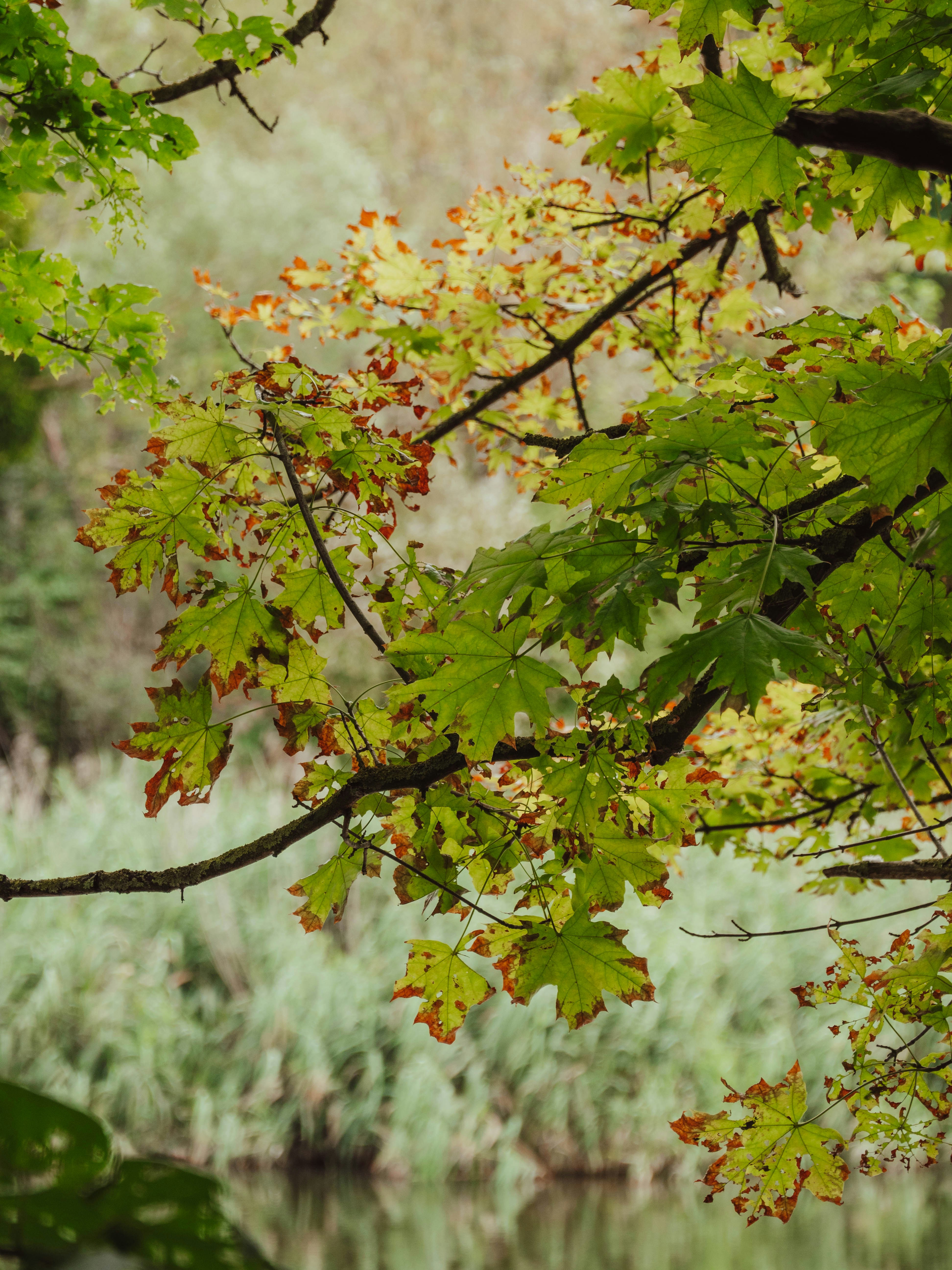 Photo by belhaiza_amine5