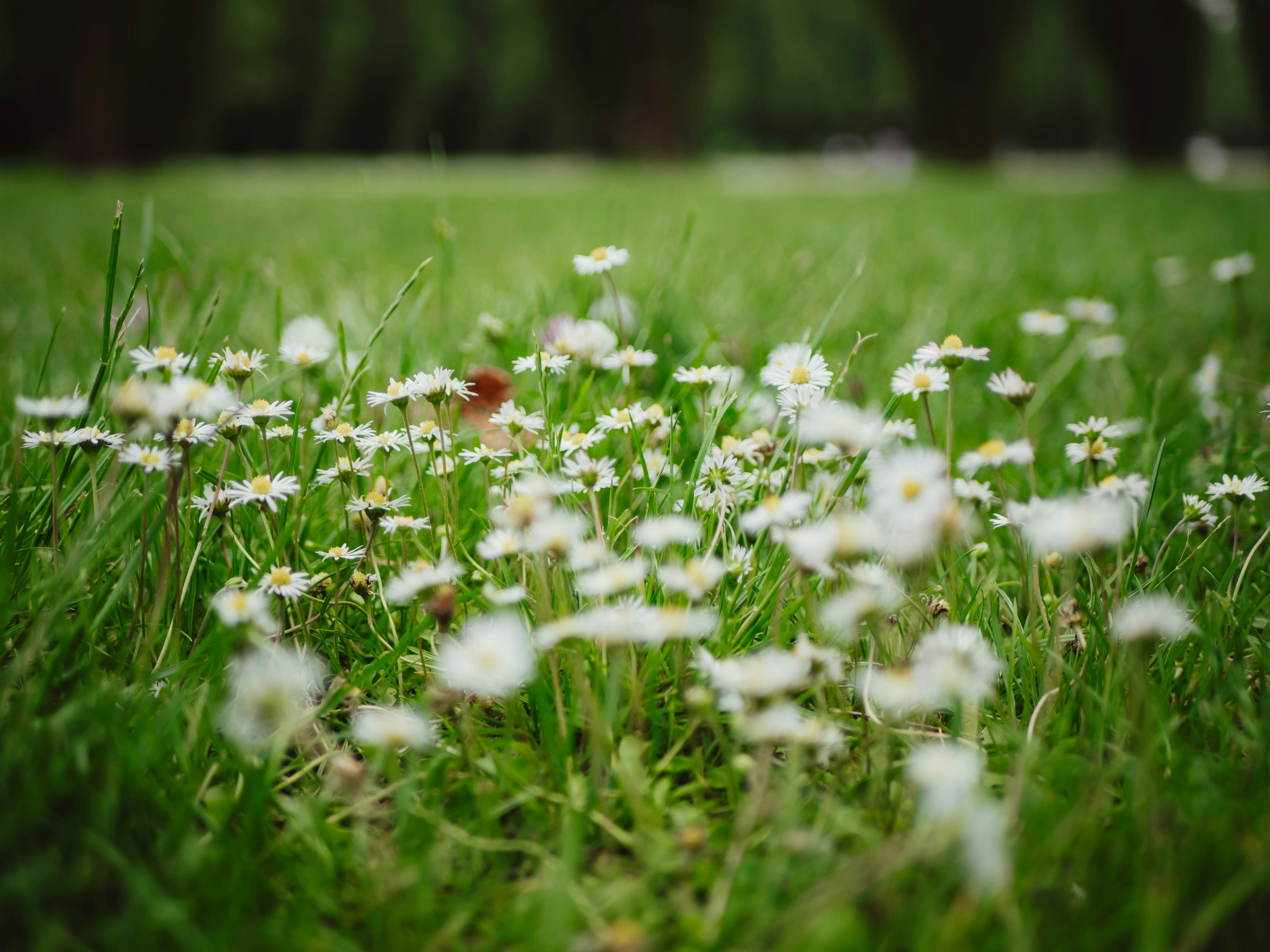 Photo by belhaiza_amine5