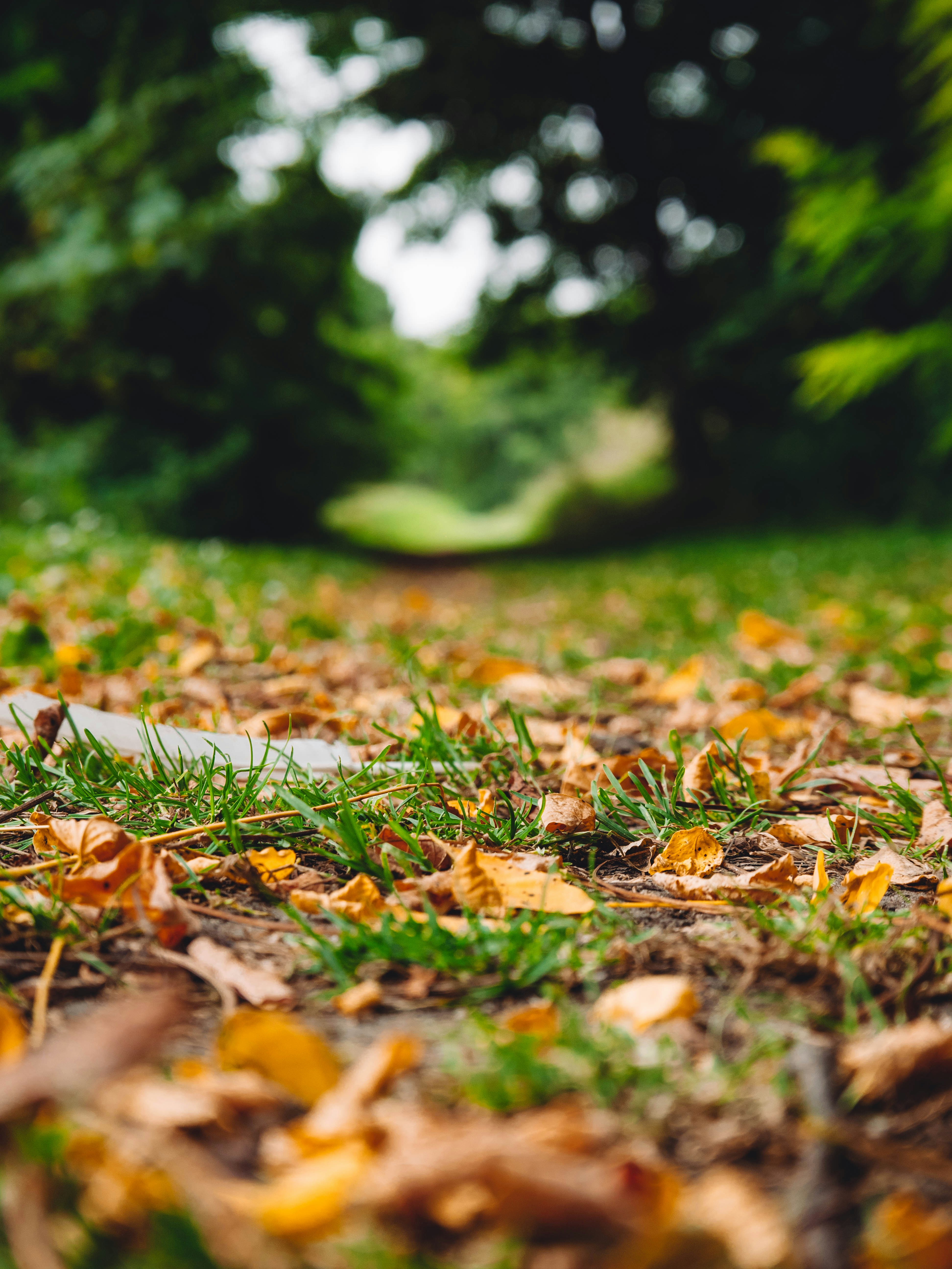 Photo by belhaiza_amine5